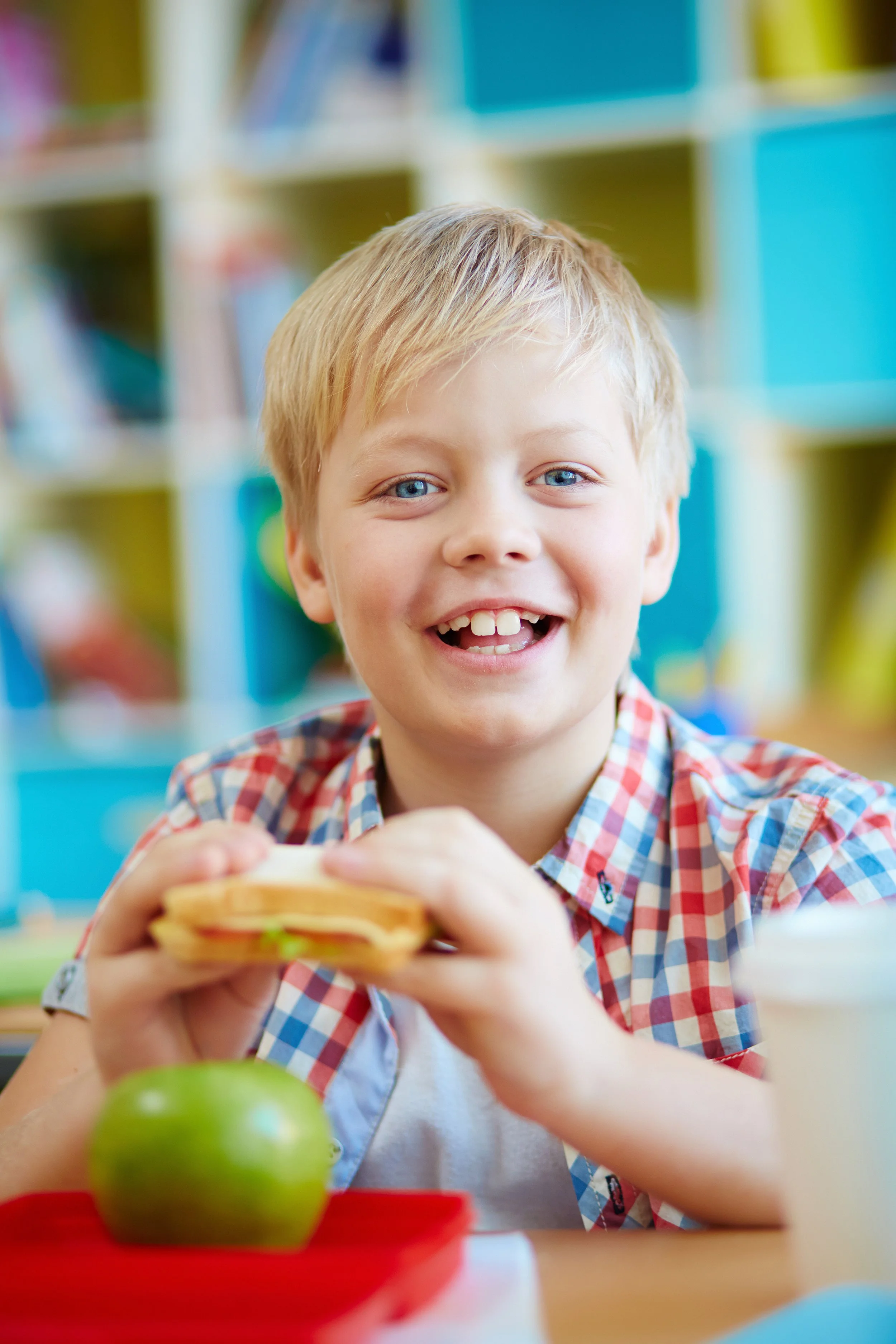 A young blonde-haired boy with blue eyes and a checkered shirt smiling while holding a sandwich at a table, with a red tray and green apple in front of him, in a colorful room with bookshelves in the background.