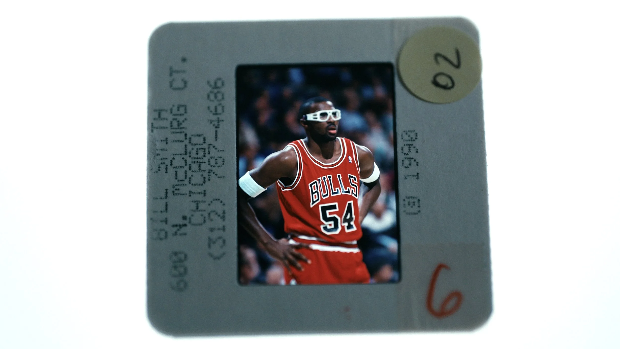 Chicago Bulls "This Is Where Legends Live"