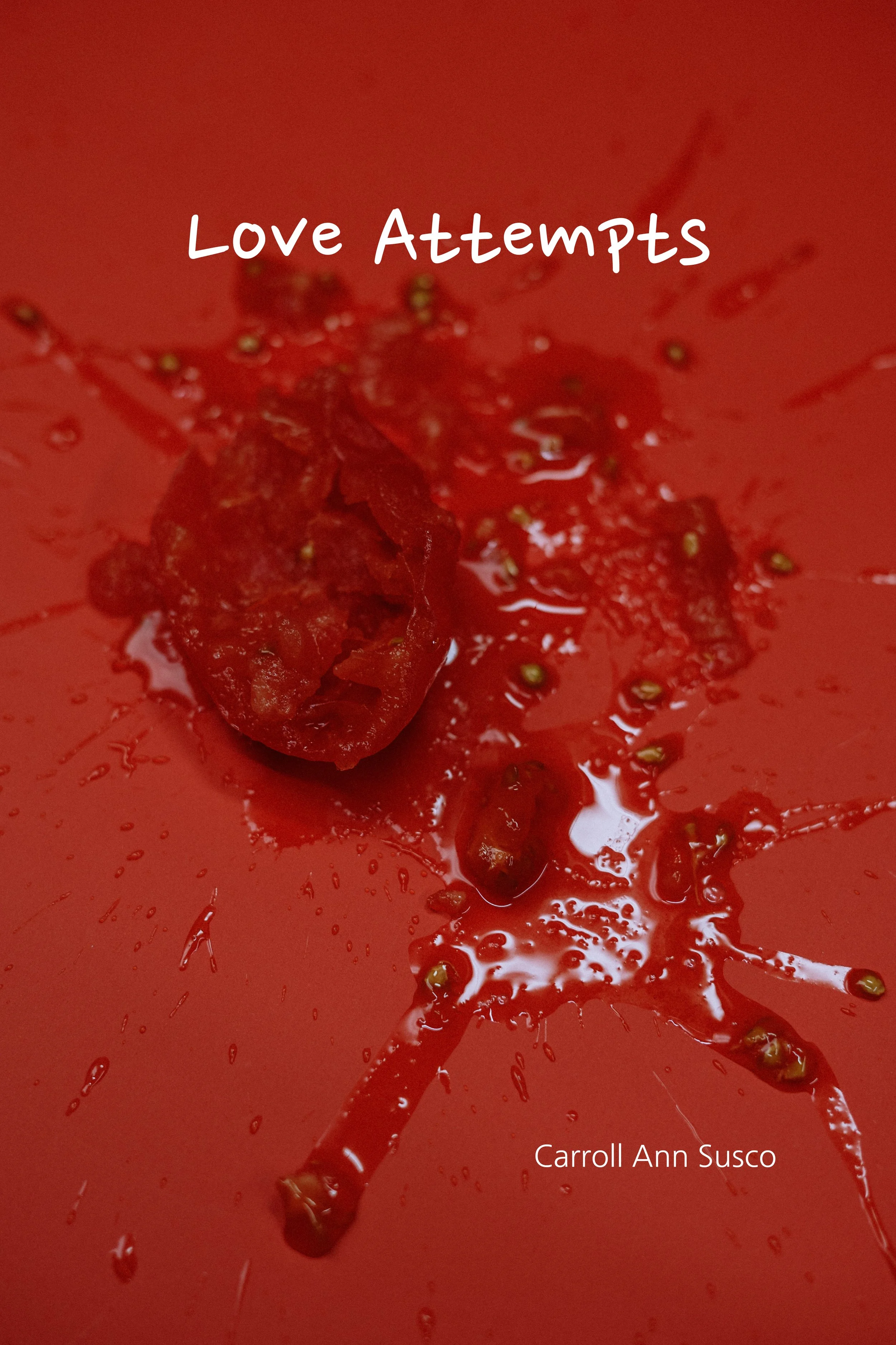 Love Attempts Cover_Final (1)x.jpg