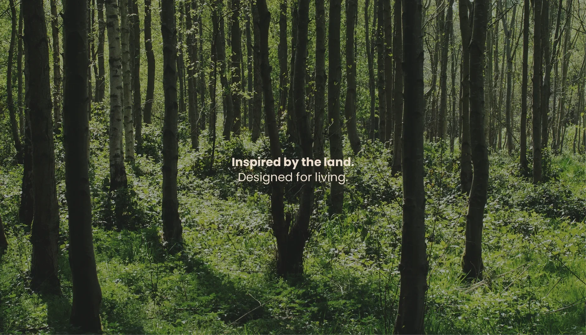 Portfolio_Pieces_2026_Alder_6.webp
