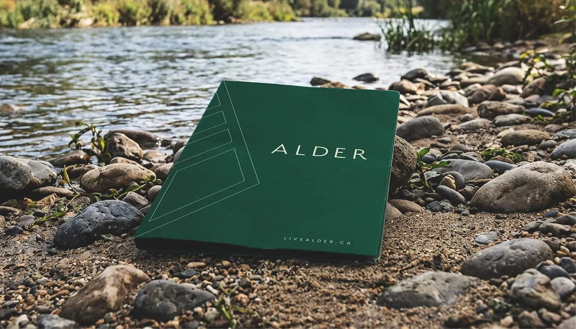 Portfolio_Pieces_2026_Alder_5.webp
