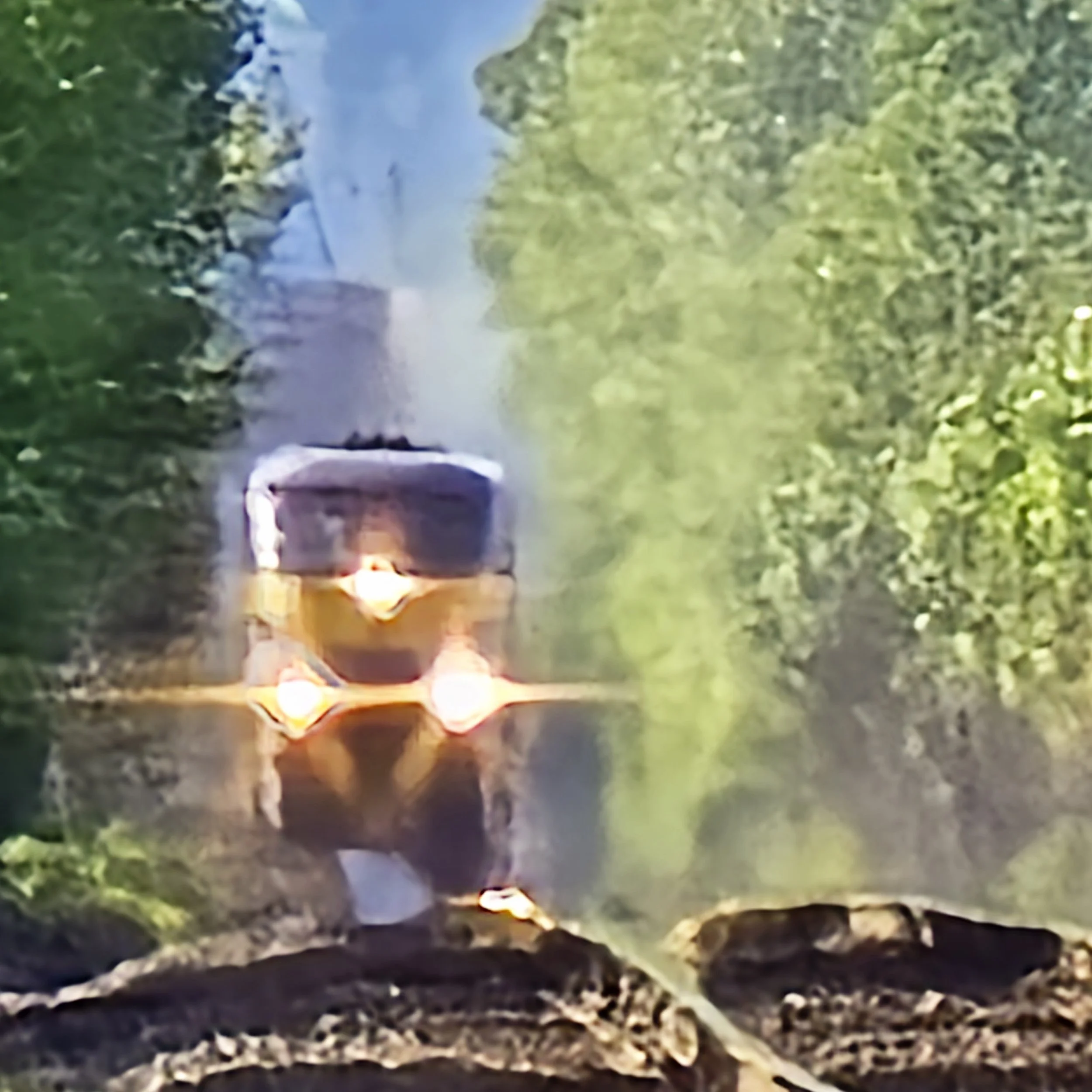 20240501_170334.jpg
