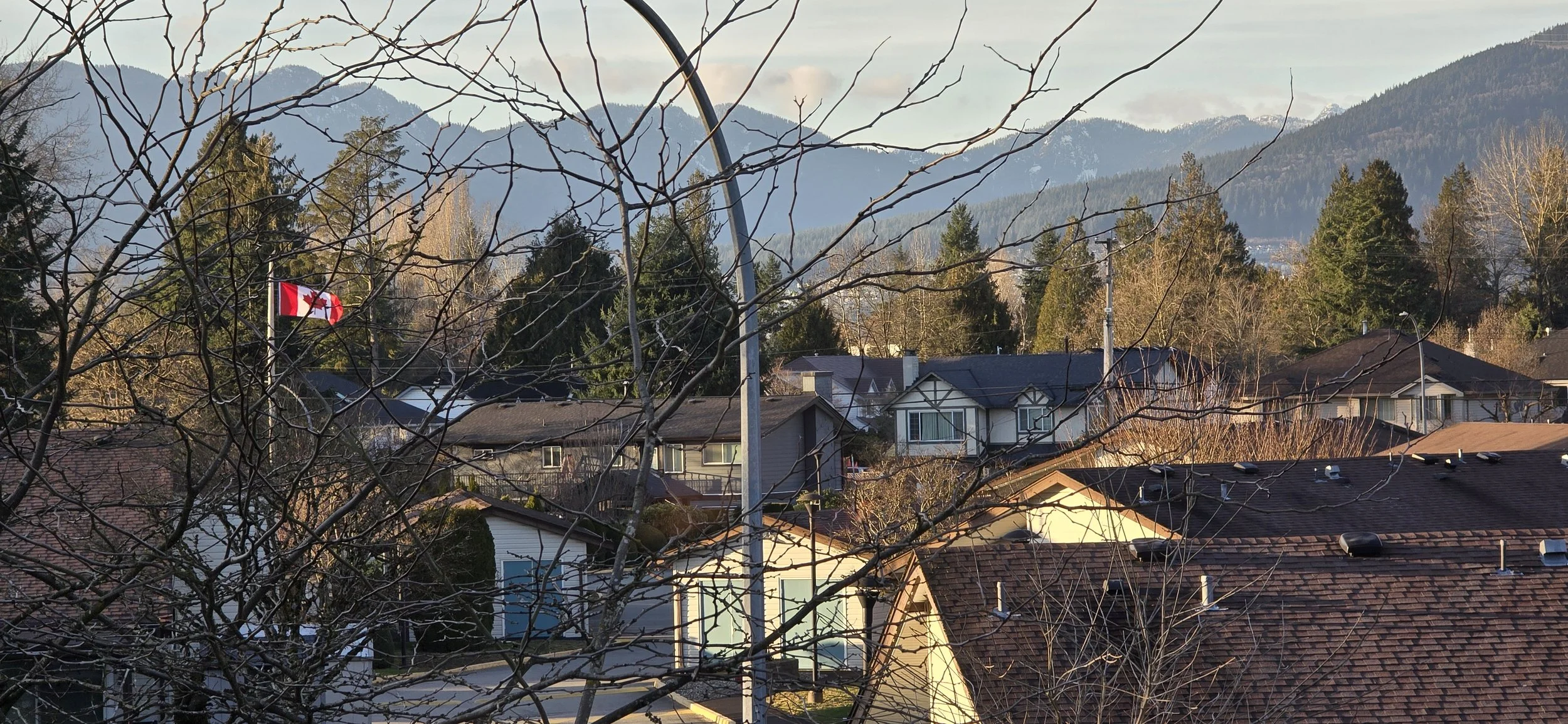 20260228_170528.jpg