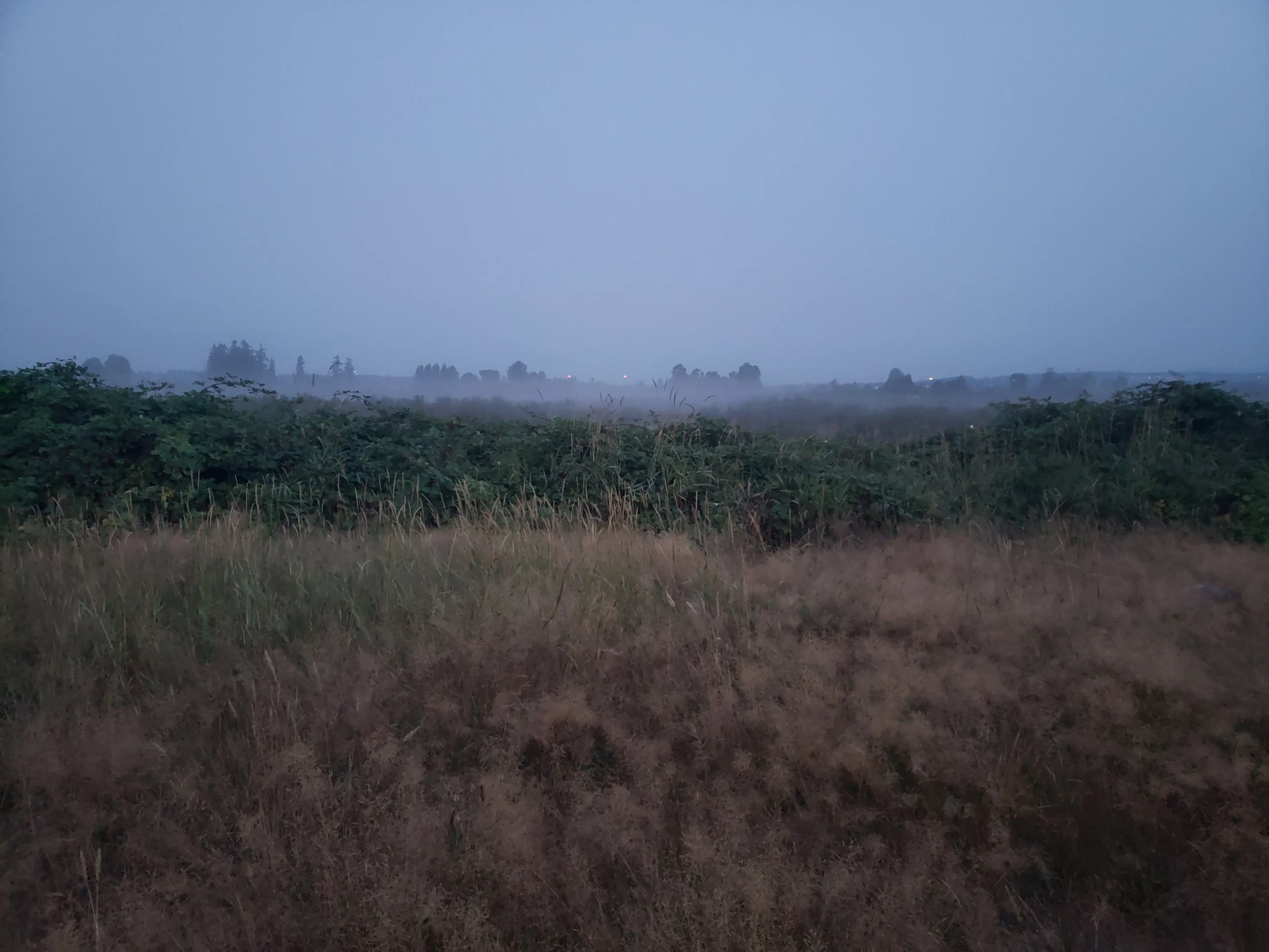 20230824_054712.jpg
