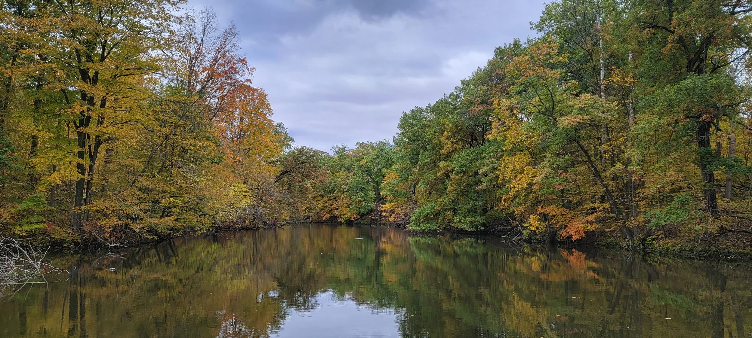 A forested area with colorful fall foliage reflected in a calm river under a cloudy sky.