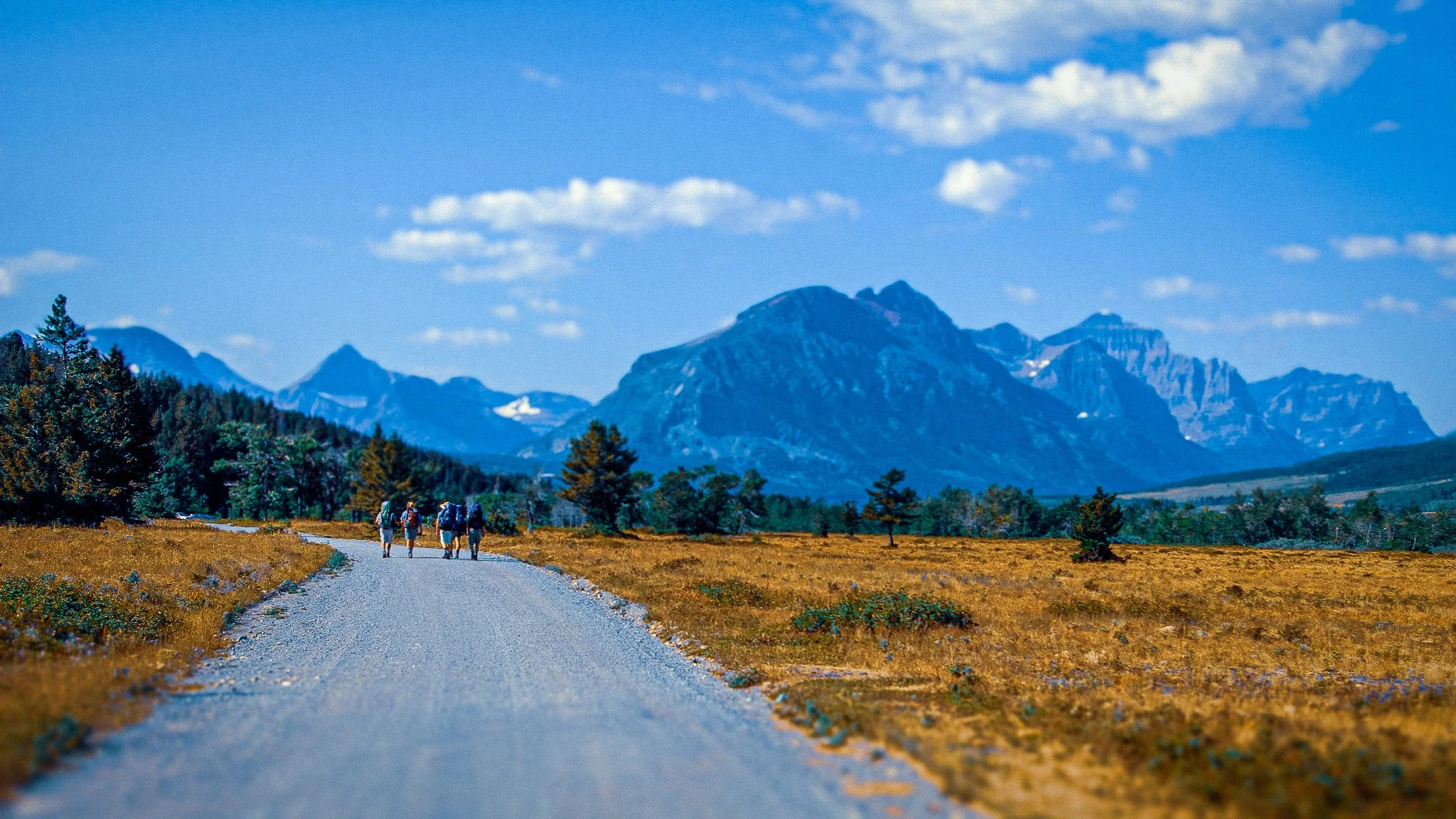 Four backpackers walking along a gravel road toward the mountains in Glacier National Park.