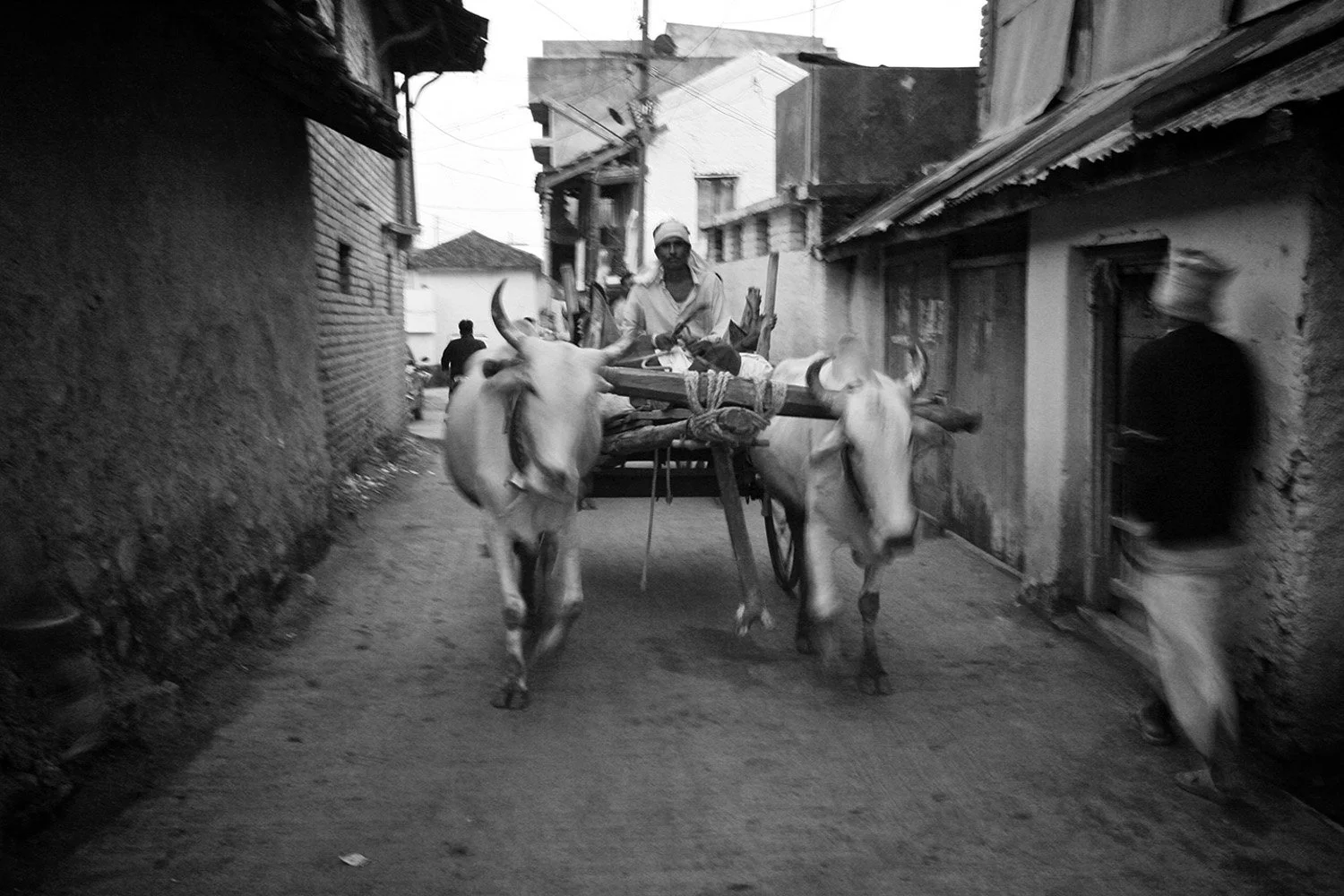 Pusla_India.jpg