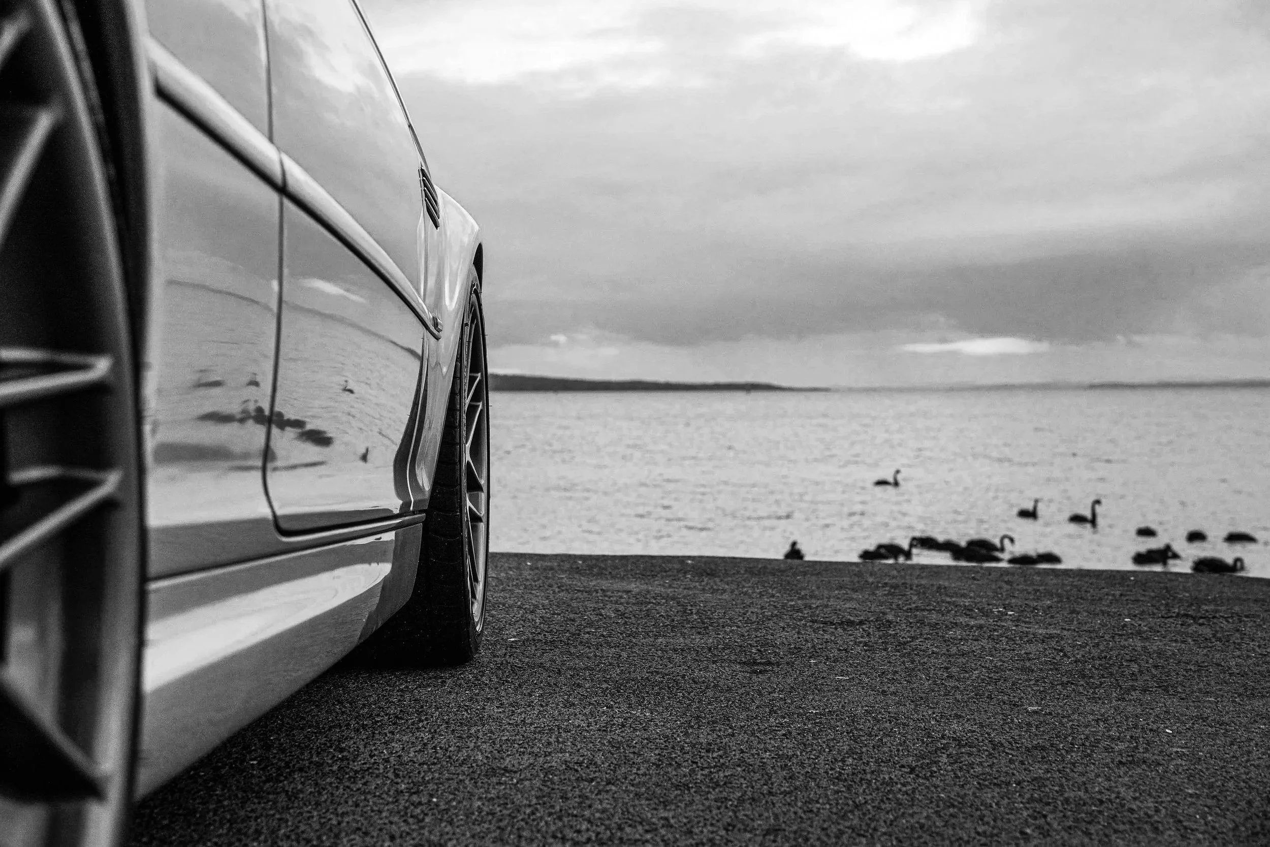 sports car after detailed facing the beach with swans in grayscale