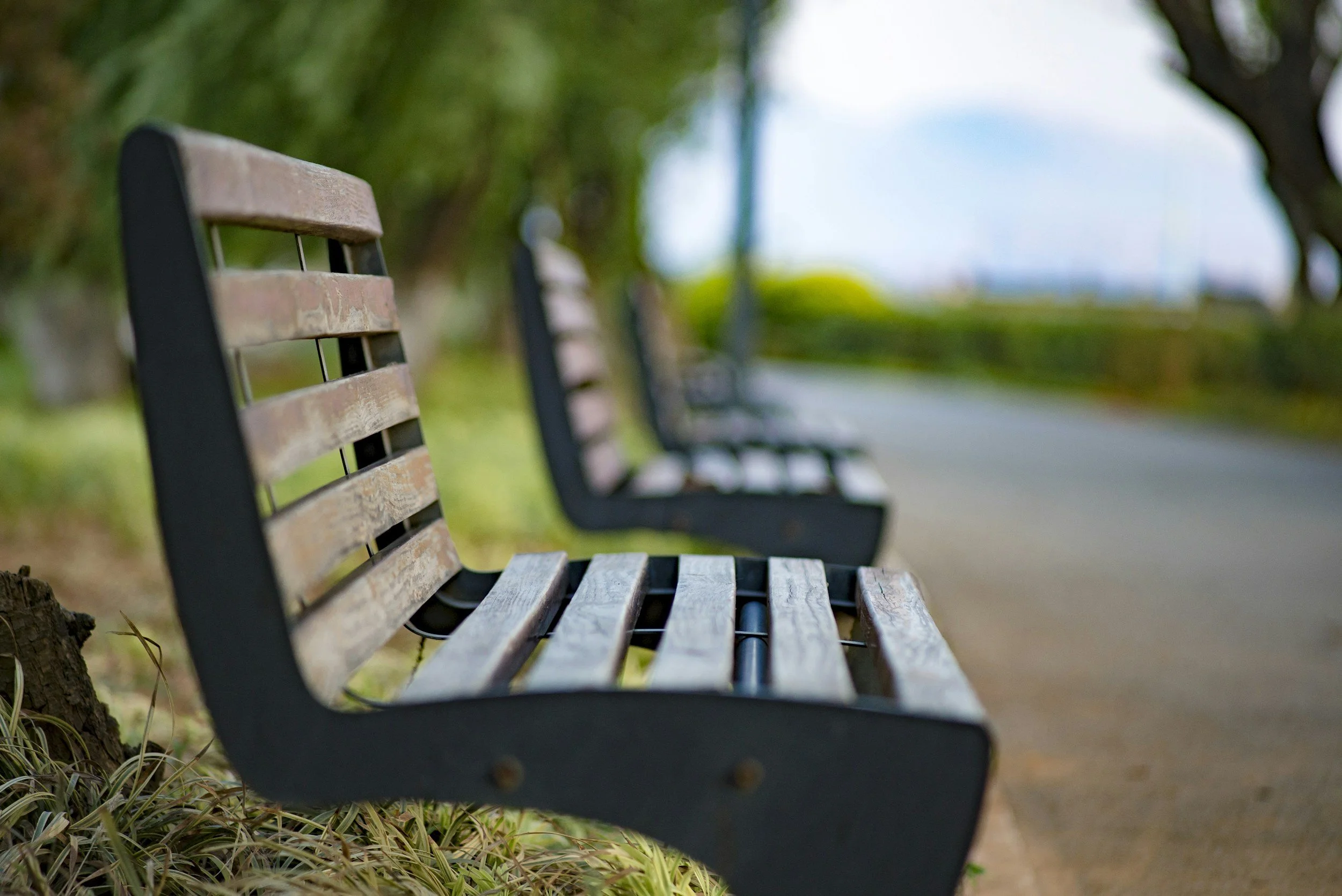 Empty park bench made of wood and metal, situated on a grassy area beside a sidewalk, with trees and a cloudy sky in the background.