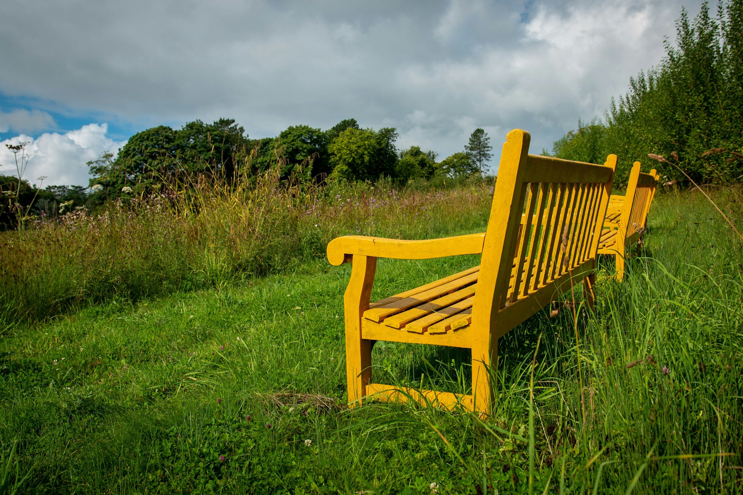 A yellow wooden bench in a grassy field surrounded by wildflowers and tall grasses, with a backdrop of green trees and a cloudy sky.