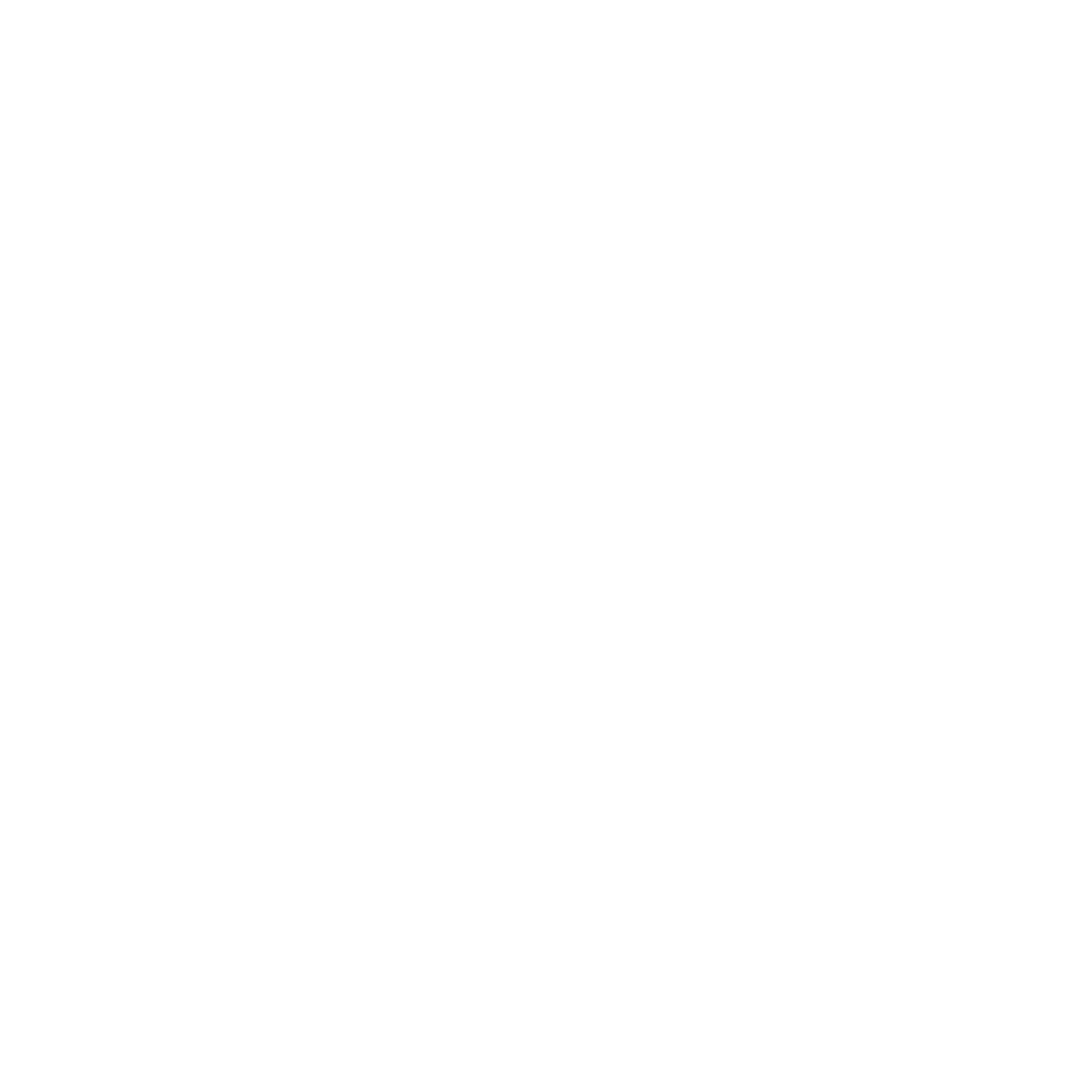 checklist icon