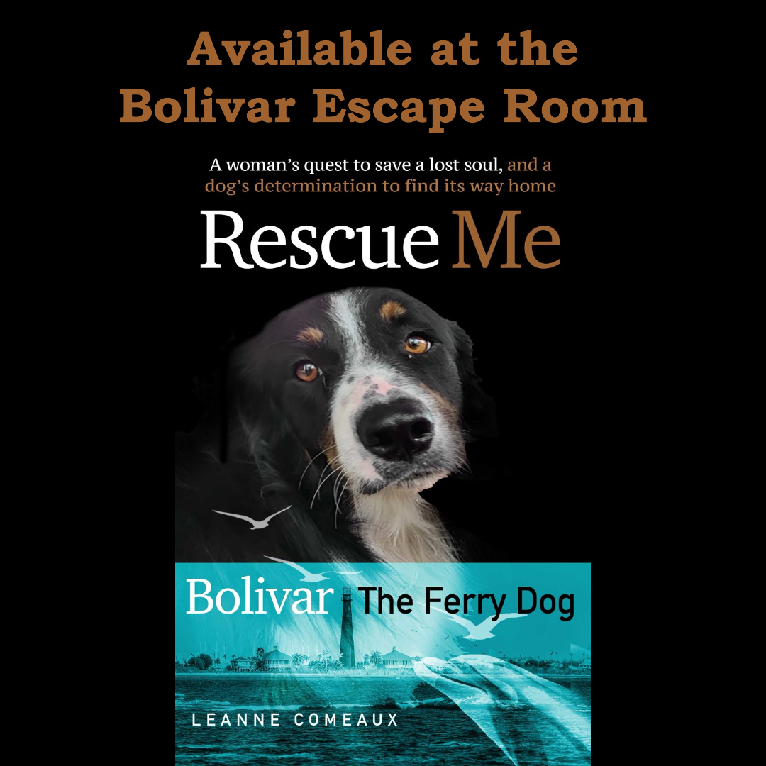 Book cover titled 'Rescue Me,' featuring a photo of a black and white dog with blue eyes, with a background of a river, lighthouse, and seagulls, and the author's name Leanne Comeaux.