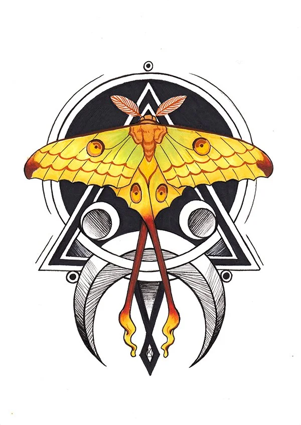 A colorful moth with yellow wings and orange spots, superimposed over a black and white geometric design featuring circles, triangles, and curved lines.