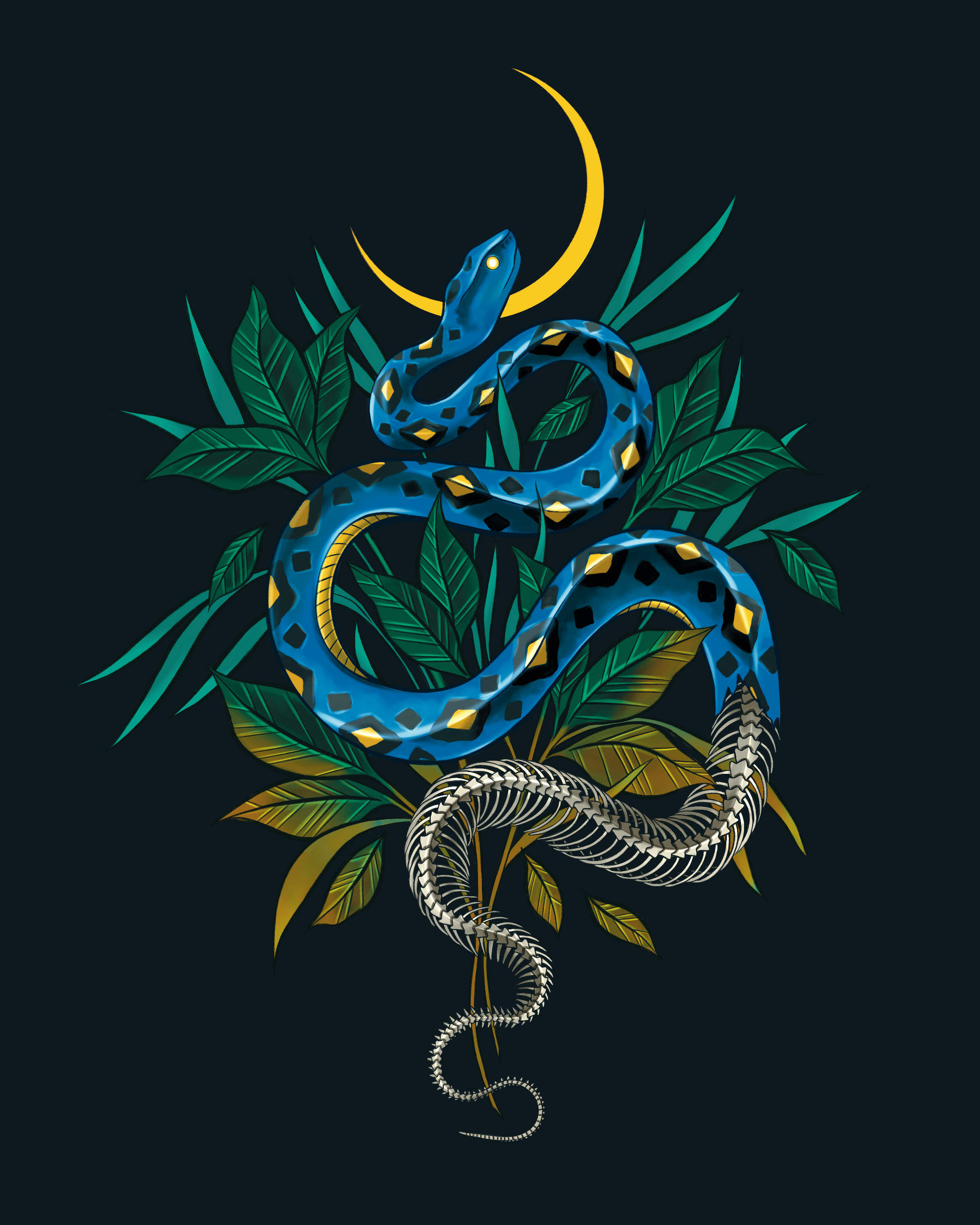 Illustration of a blue and black snake coiled around green leaves with a yellow crescent moon in the background on a dark background.