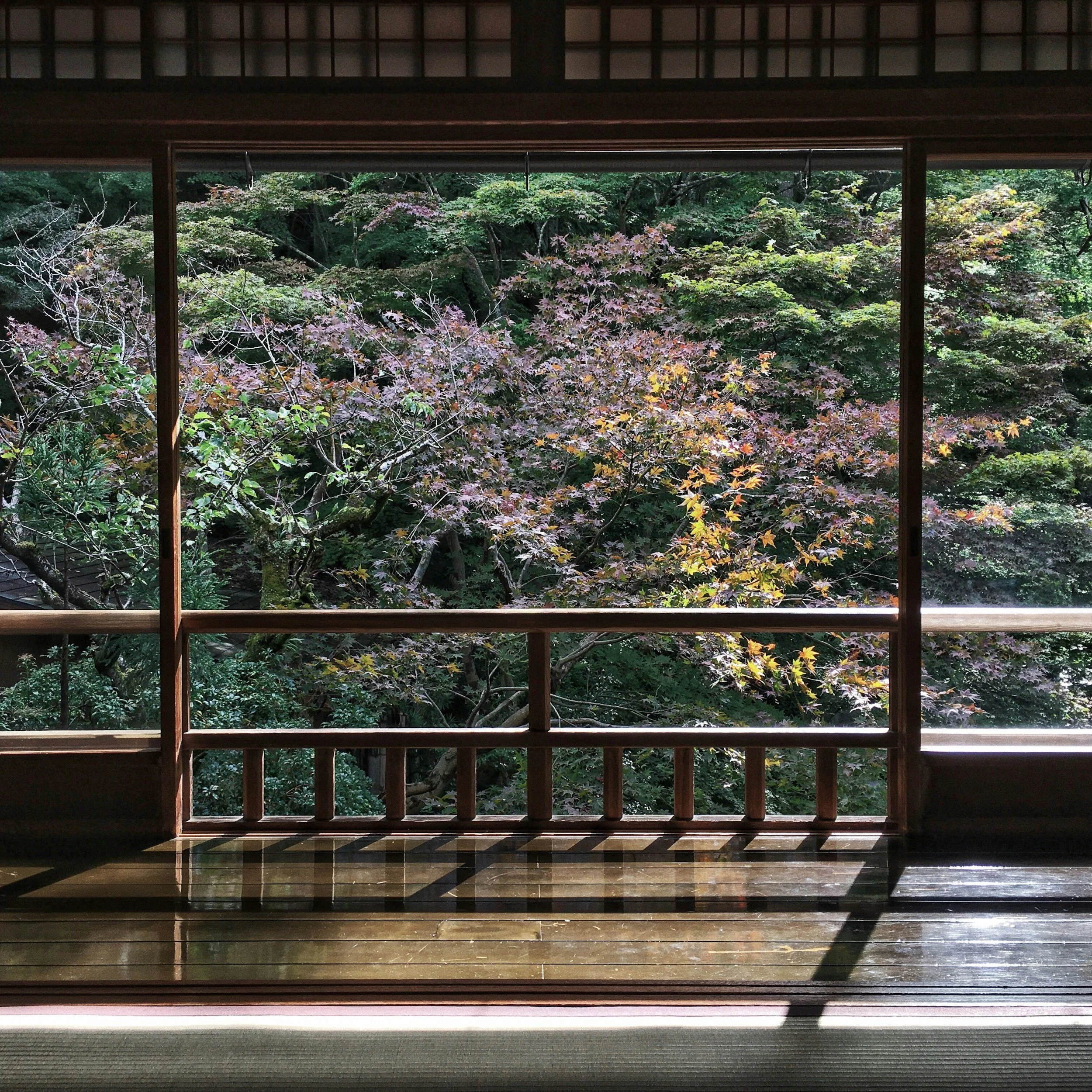 The Beauty of Japan Through the Seasons