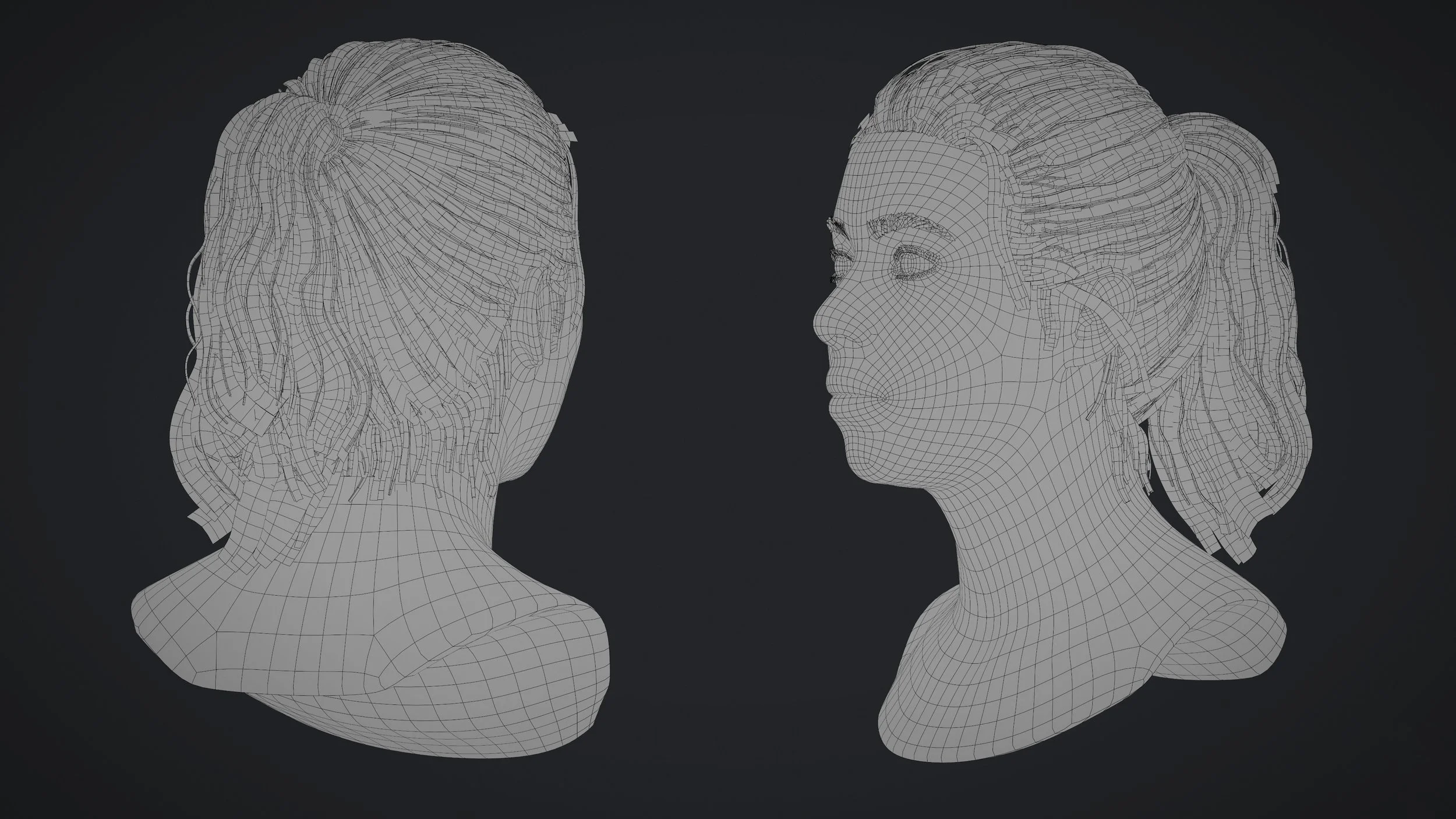 Ponytail_Wire_02.jpg