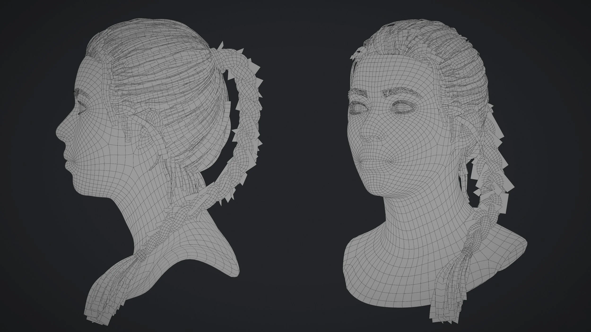 Braid_Wire_01.jpg