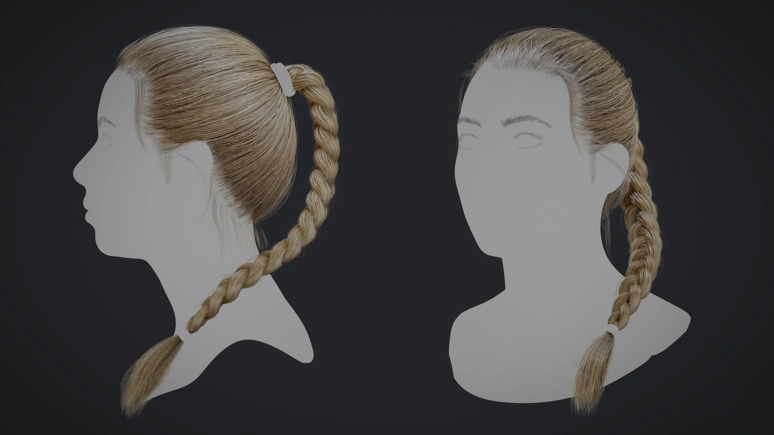 Braid_Render_01.jpg