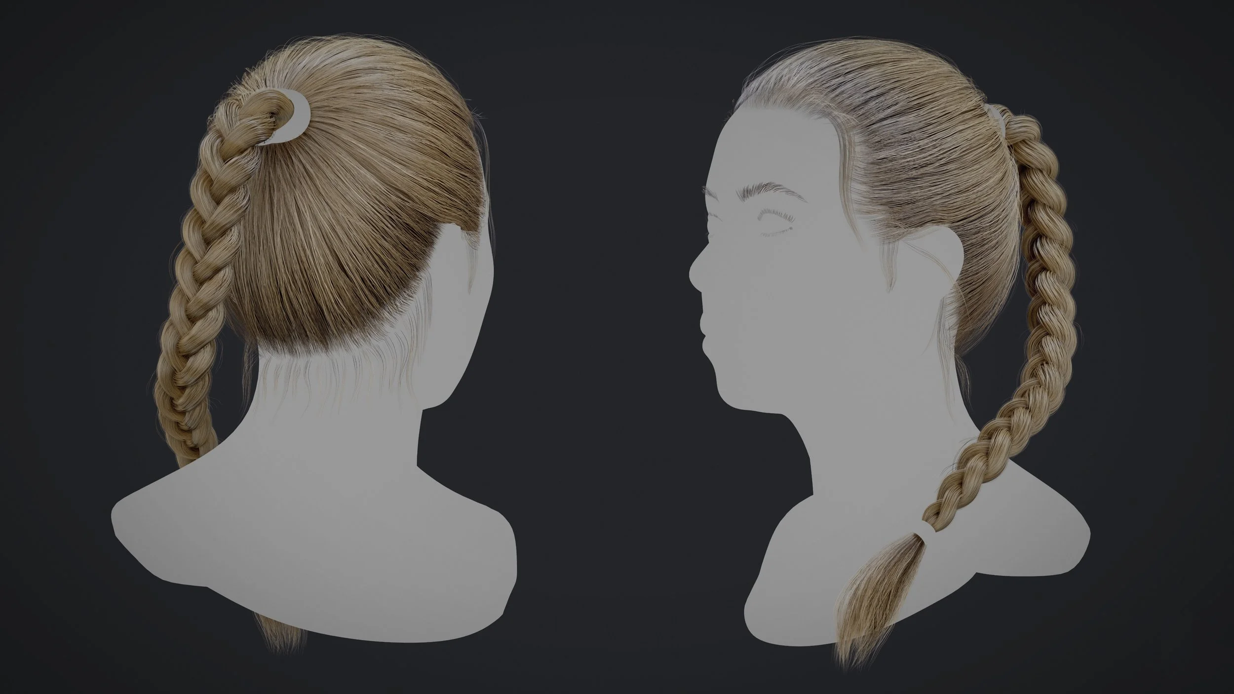 Braid_Render_02.jpg