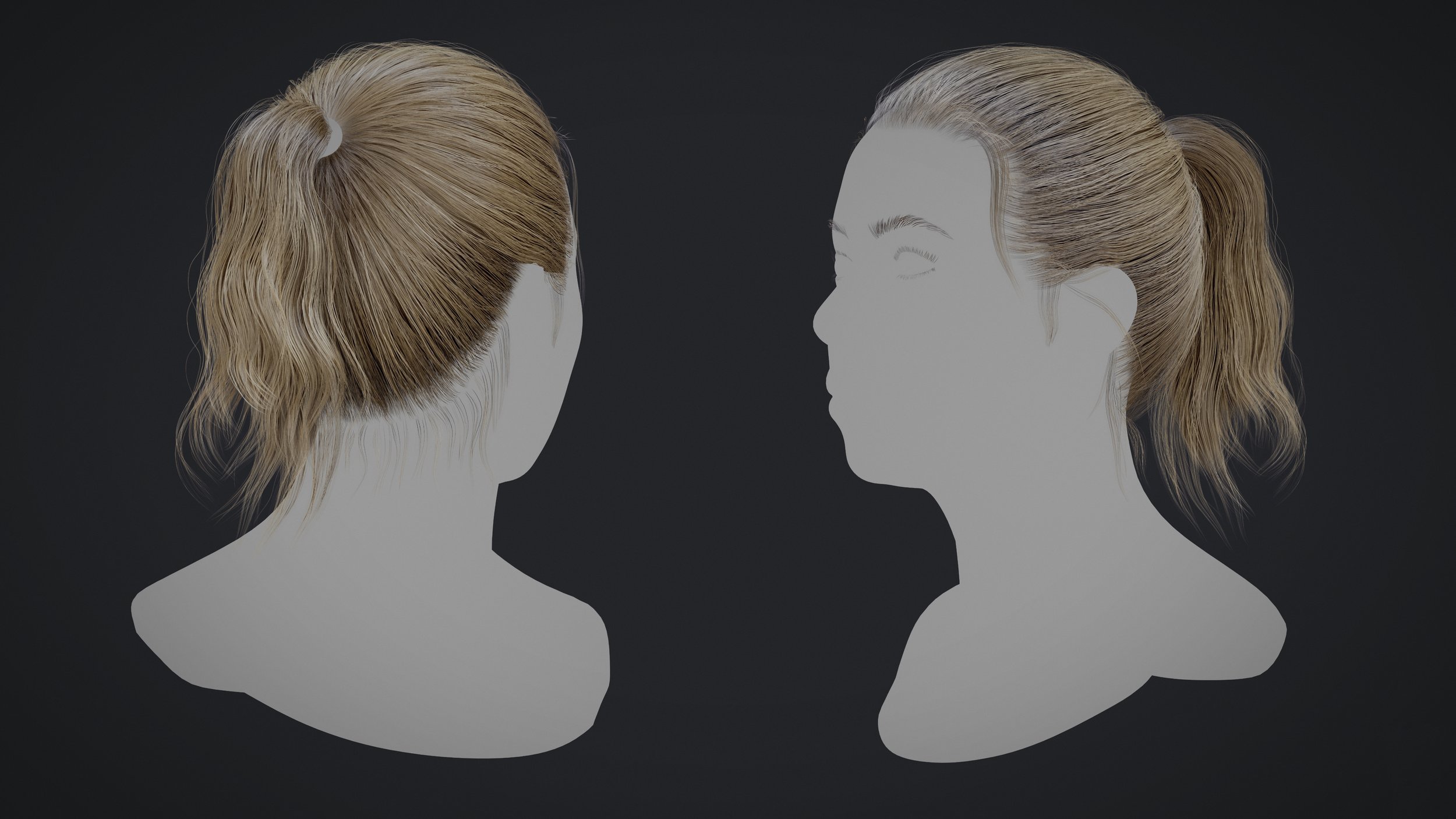Ponytail_Render_02.jpg