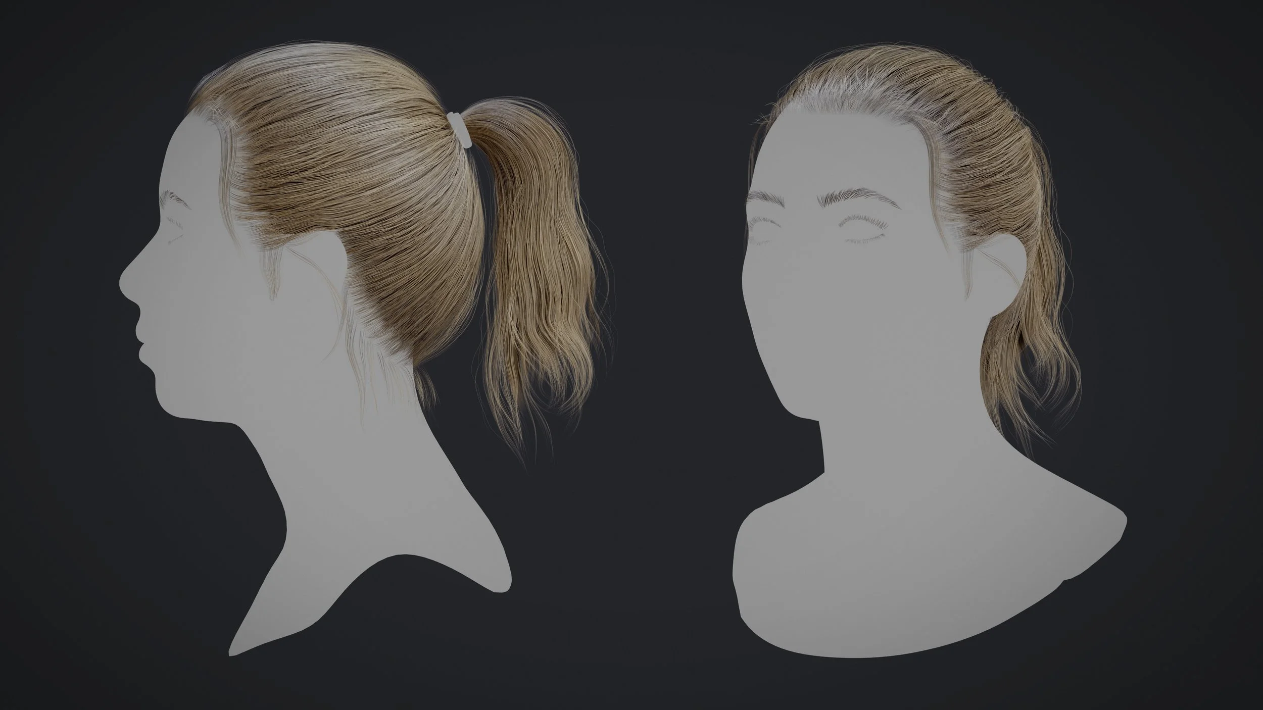 Ponytail_Render_01.jpg