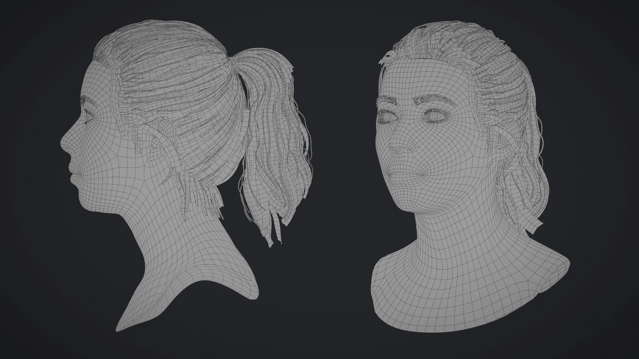 Ponytail_Wire_01.jpg