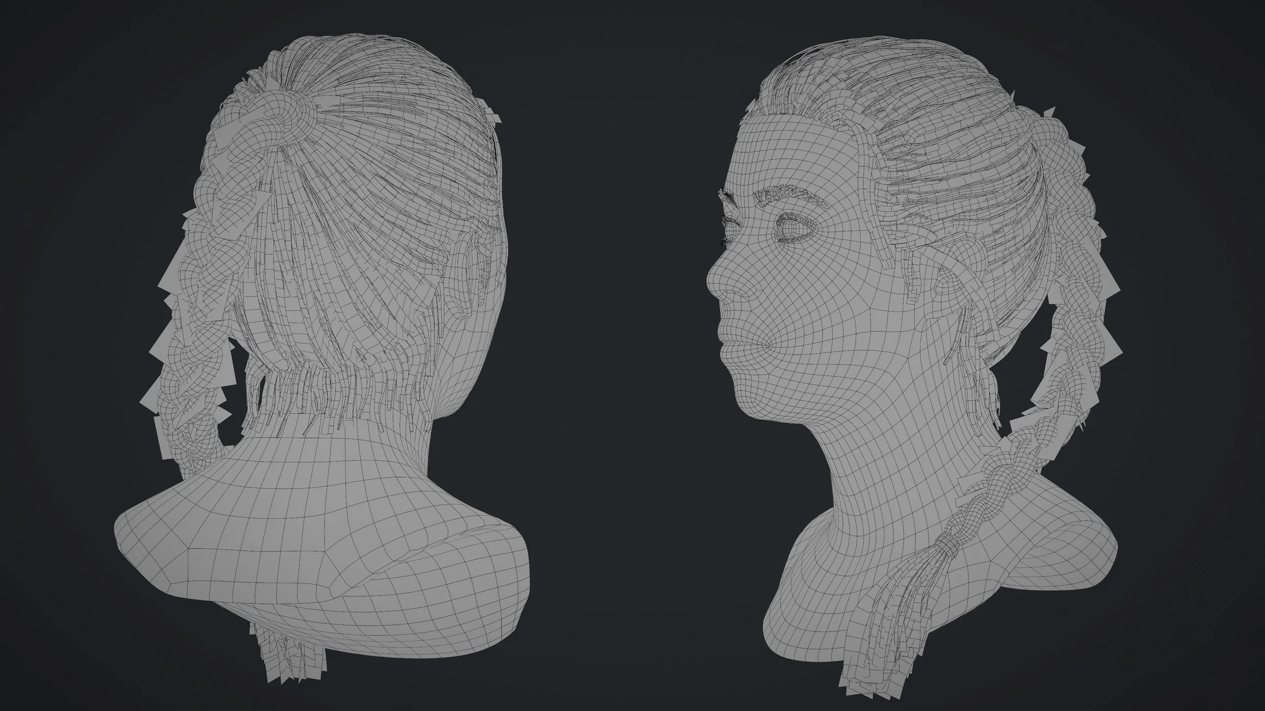 Braid_Wire_02.jpg