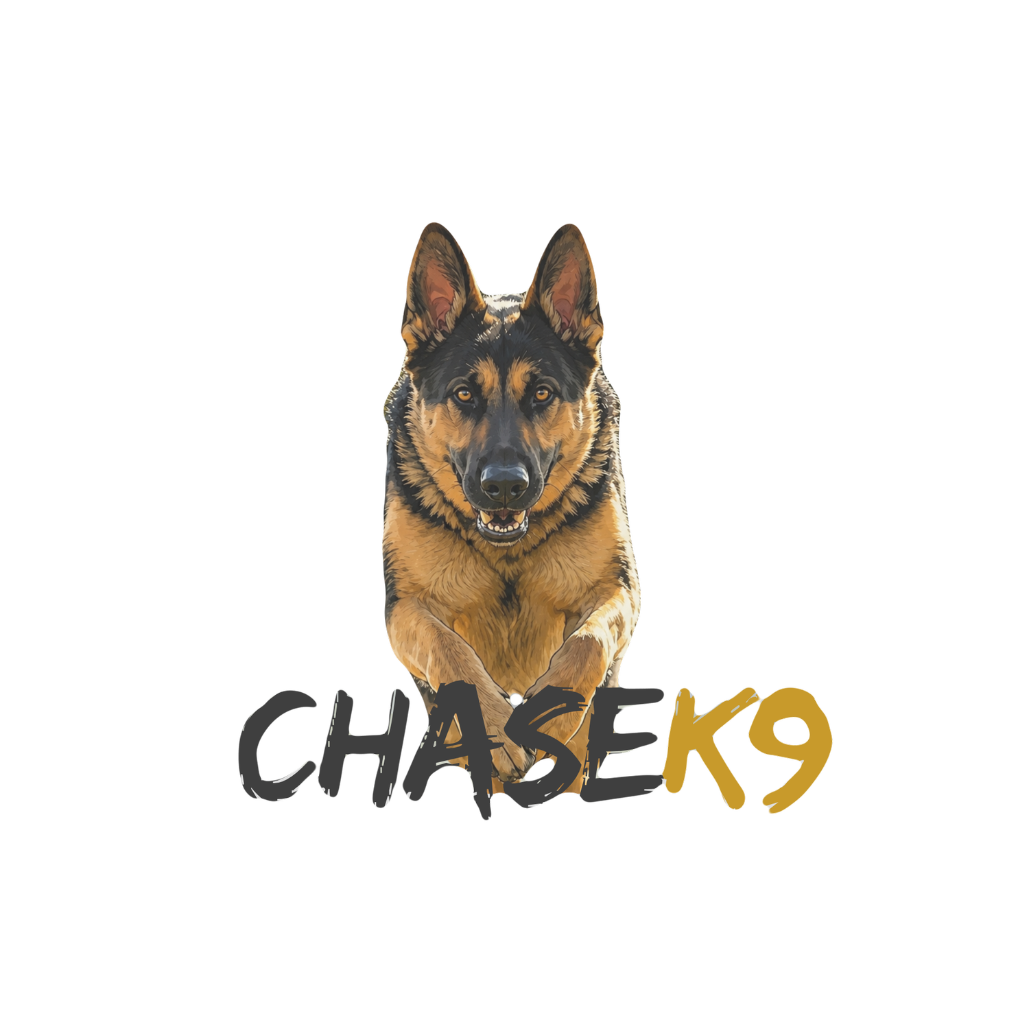 Chasek9