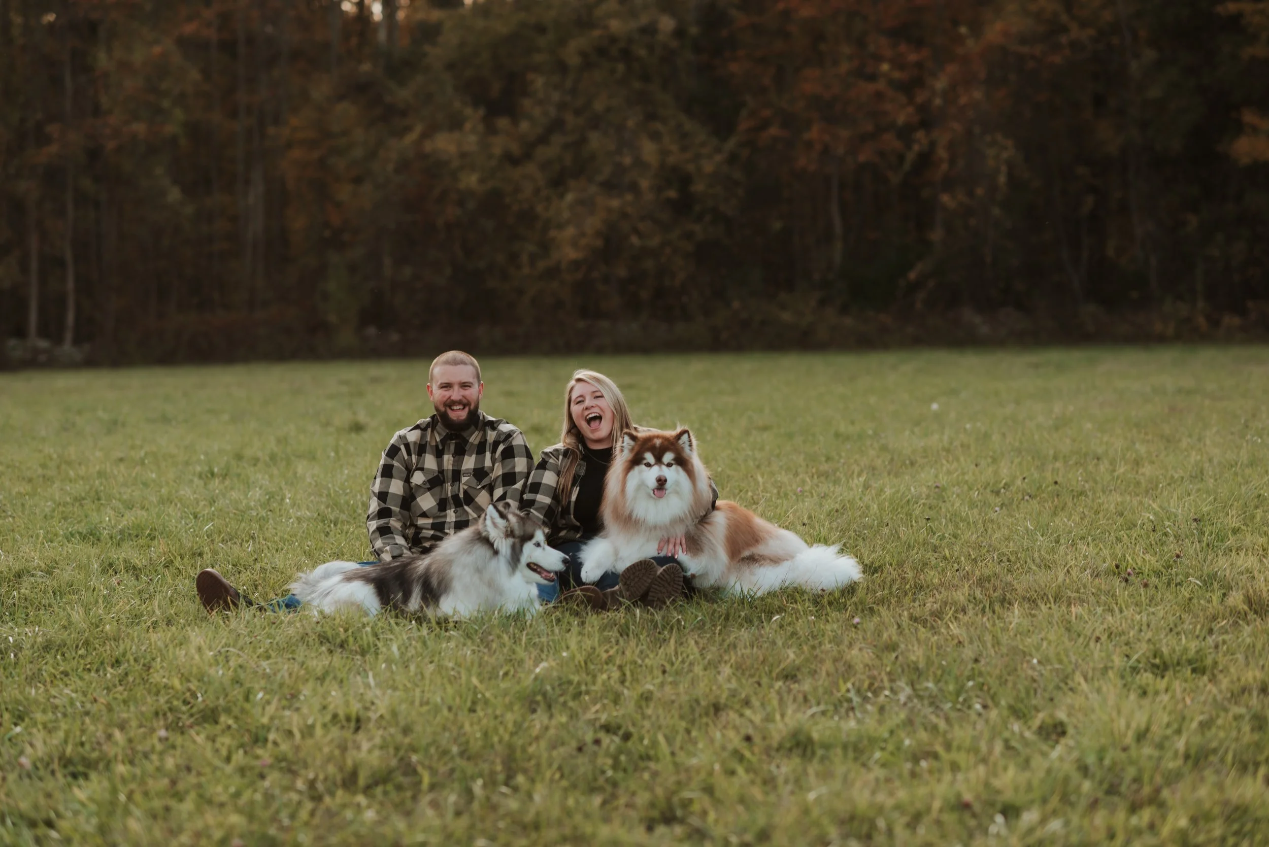A man and woman sitting on a grassy field with two huskies, with trees in the background.