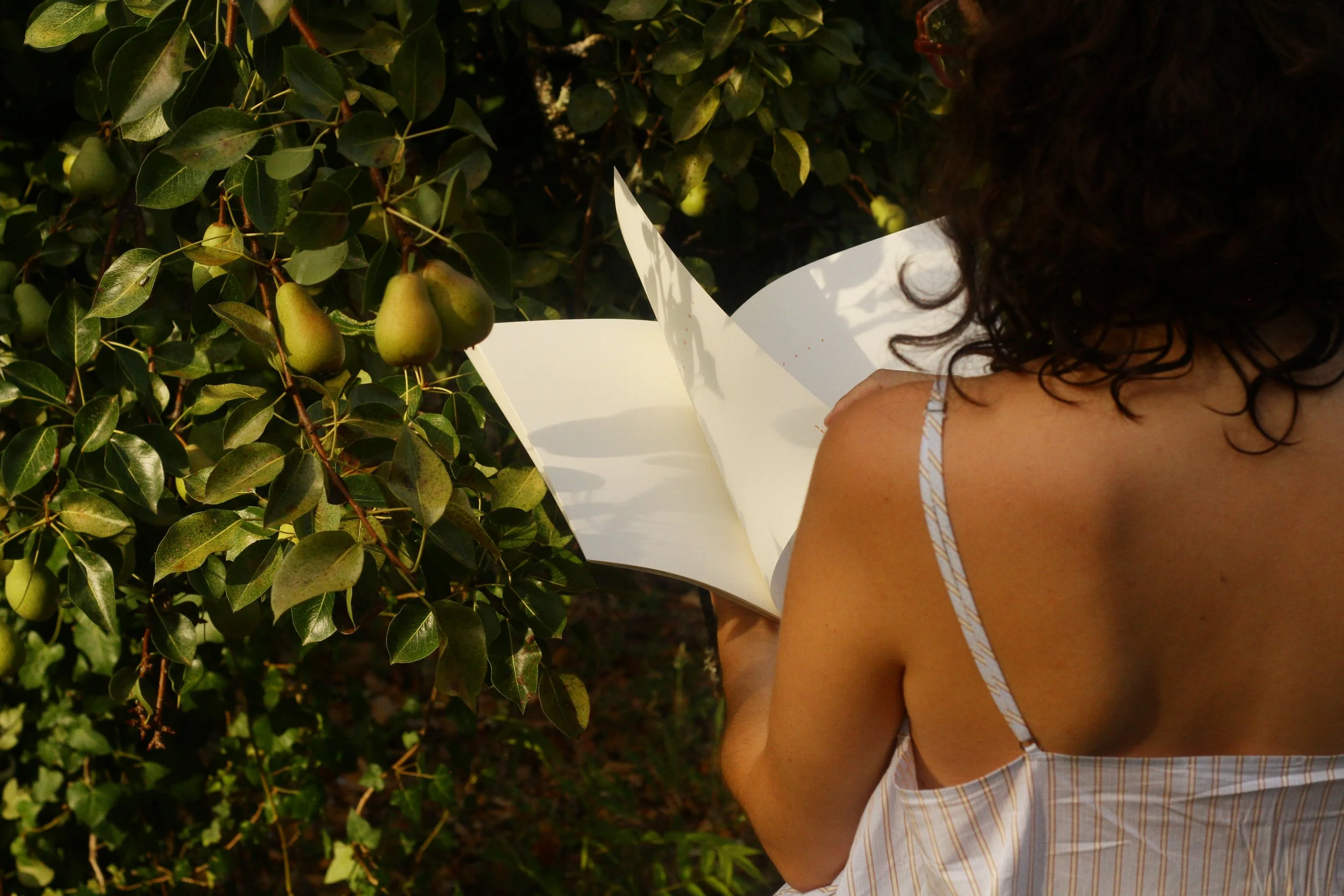 Person with curly hair wearing a sleeveless striped dress is standing near green fruit-bearing bush.