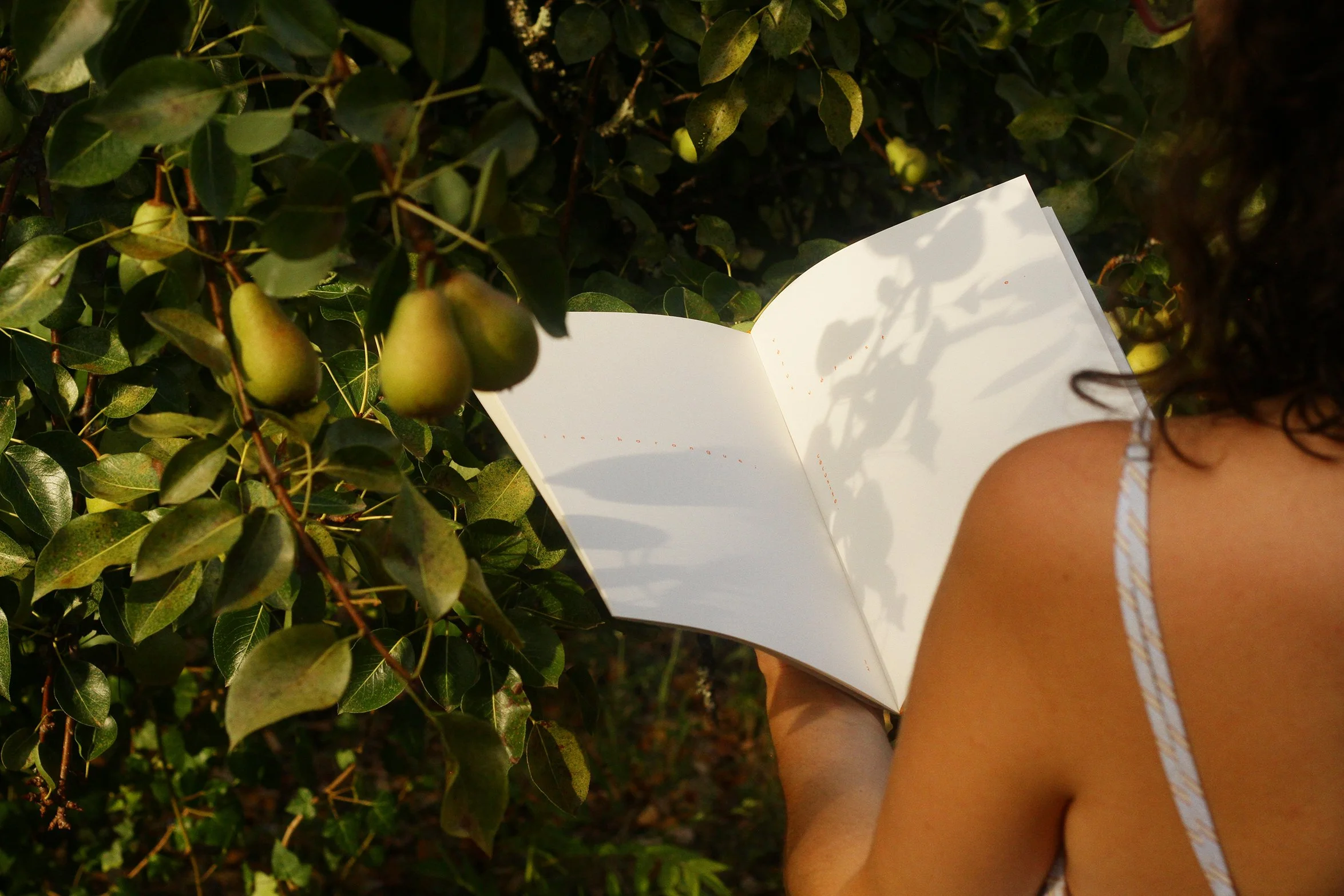 A person with curly hair wearing a white tank top with yellow stripes reading a notebook outside near green bushes with small green pears.