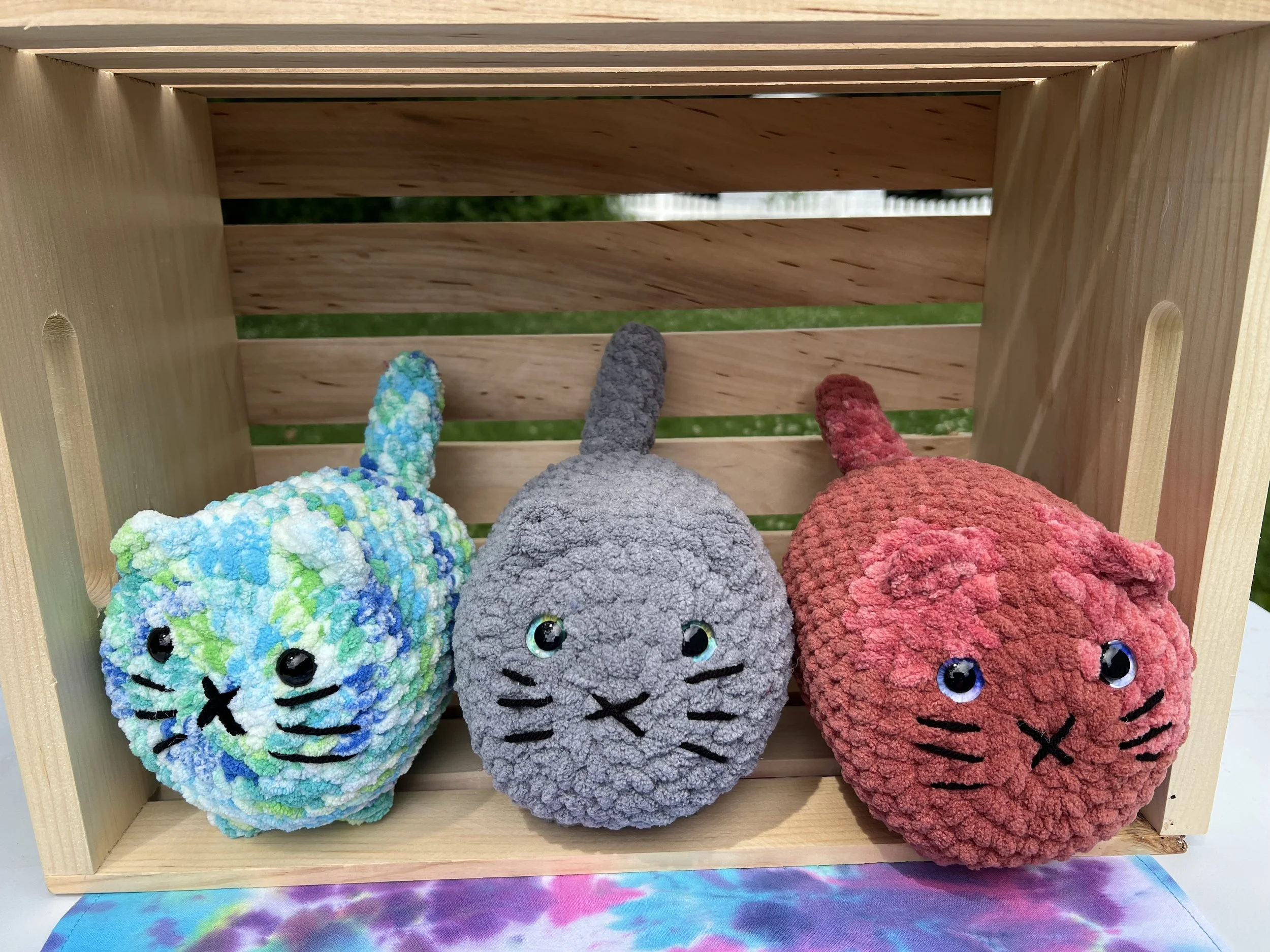 Kitties - $20