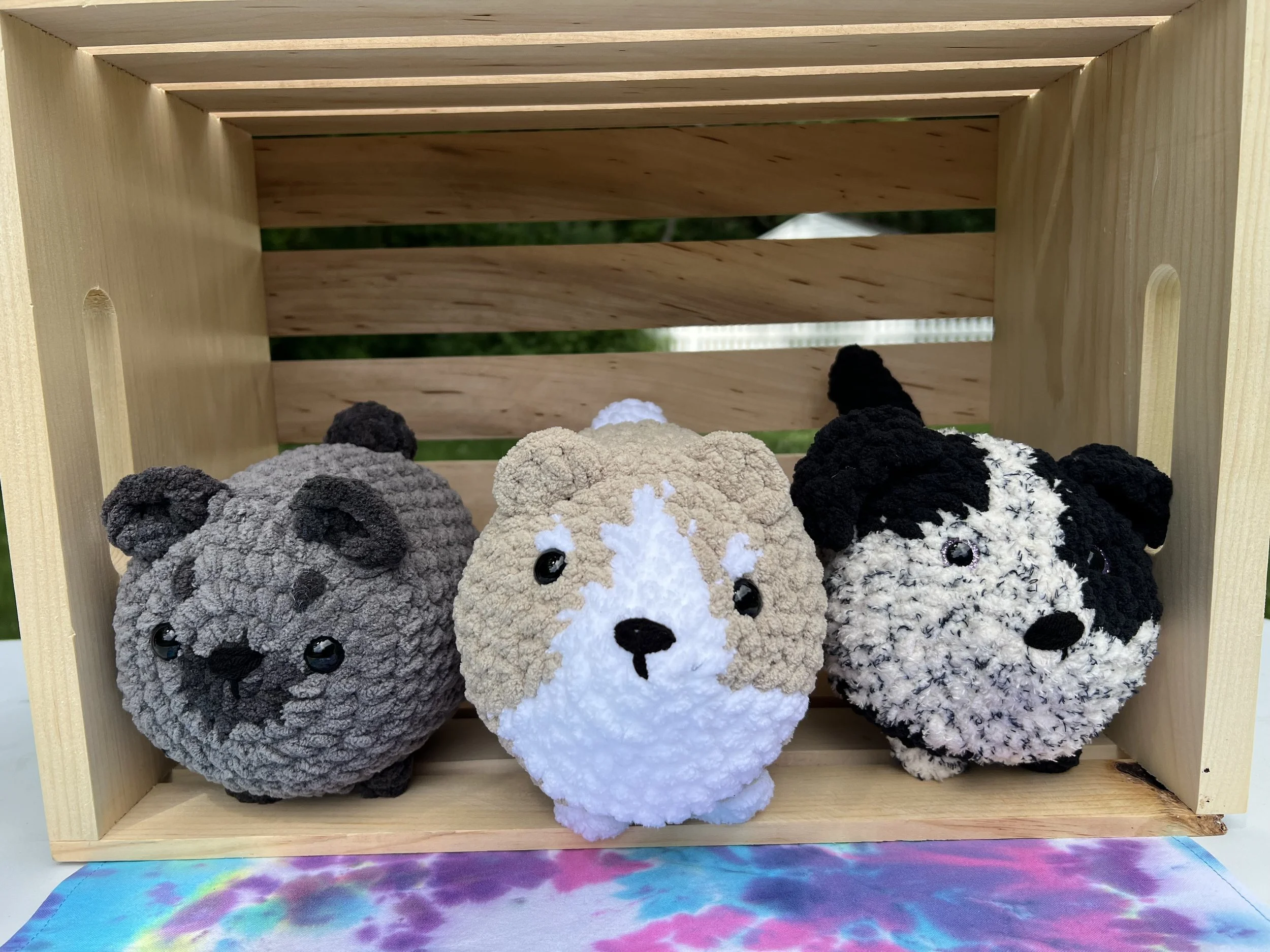 Puppies - $20