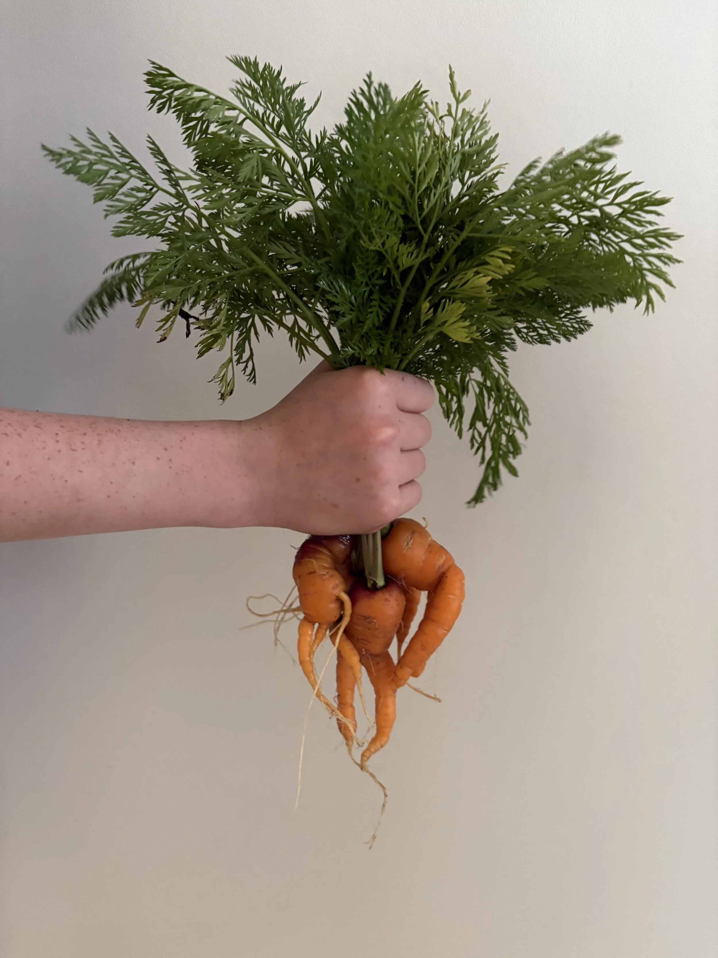carrots prenatal postpartum gestational diabetes nutrition counseling Portland, Oregon