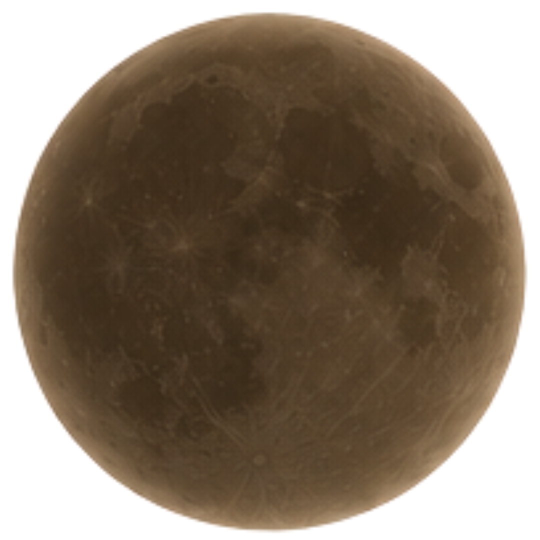 Close-up of the full moon showing surface details and craters.