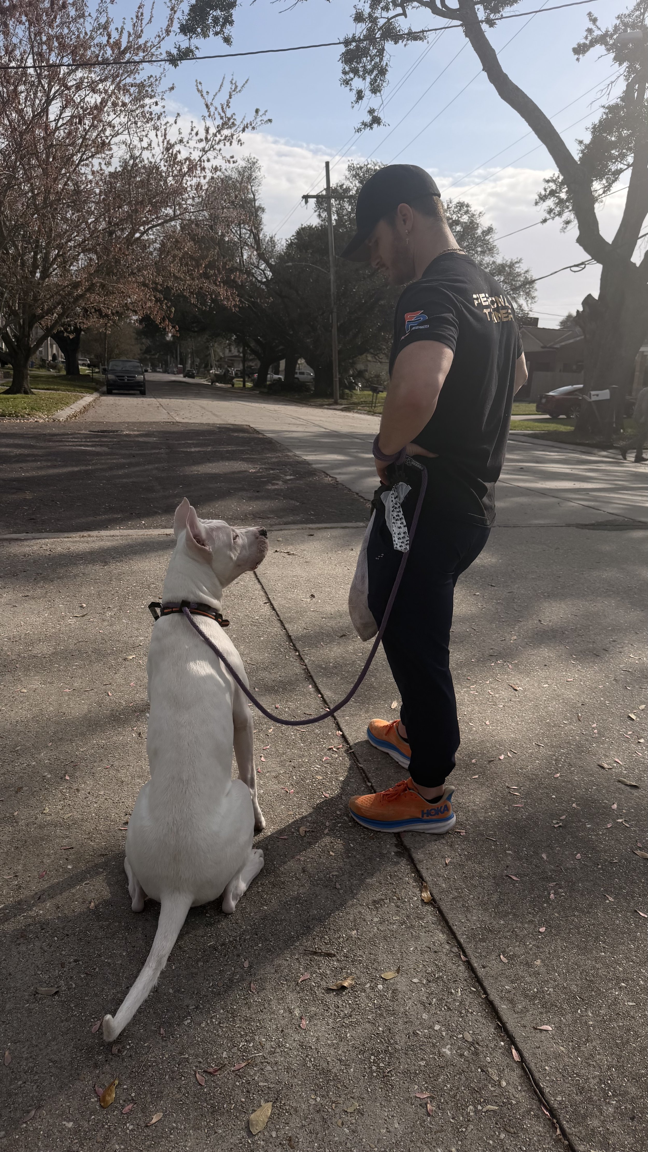 A man standing on a sidewalk with a white dog sitting in front of him. The man is looking down at the dog, which is facing him. The scene is outdoors with trees, parked cars, and a street in the background. It appears to be a sunny day.