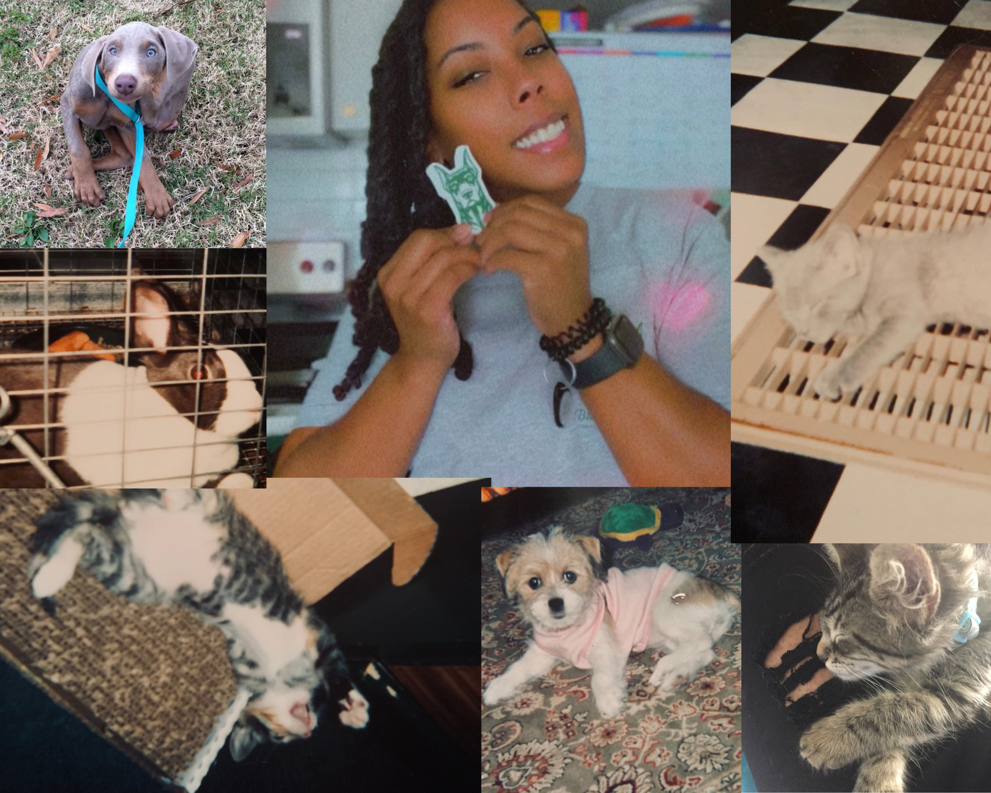 7 Years of training , Growth &amp; building bree’s training co.