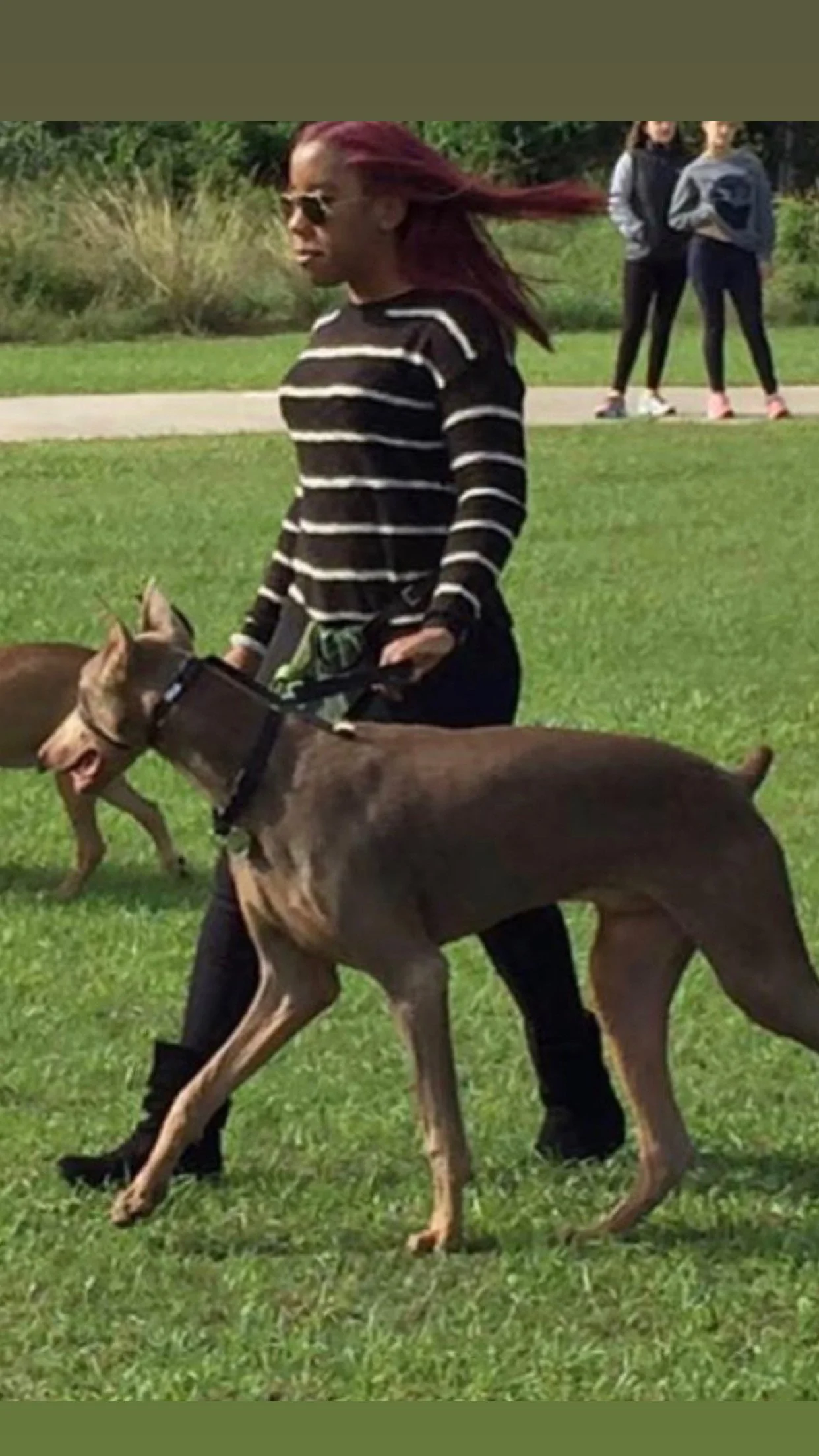 A woman with red hair, sunglasses, wearing a black and white striped shirt, walking a large dog in a park. Two people are standing in the background.