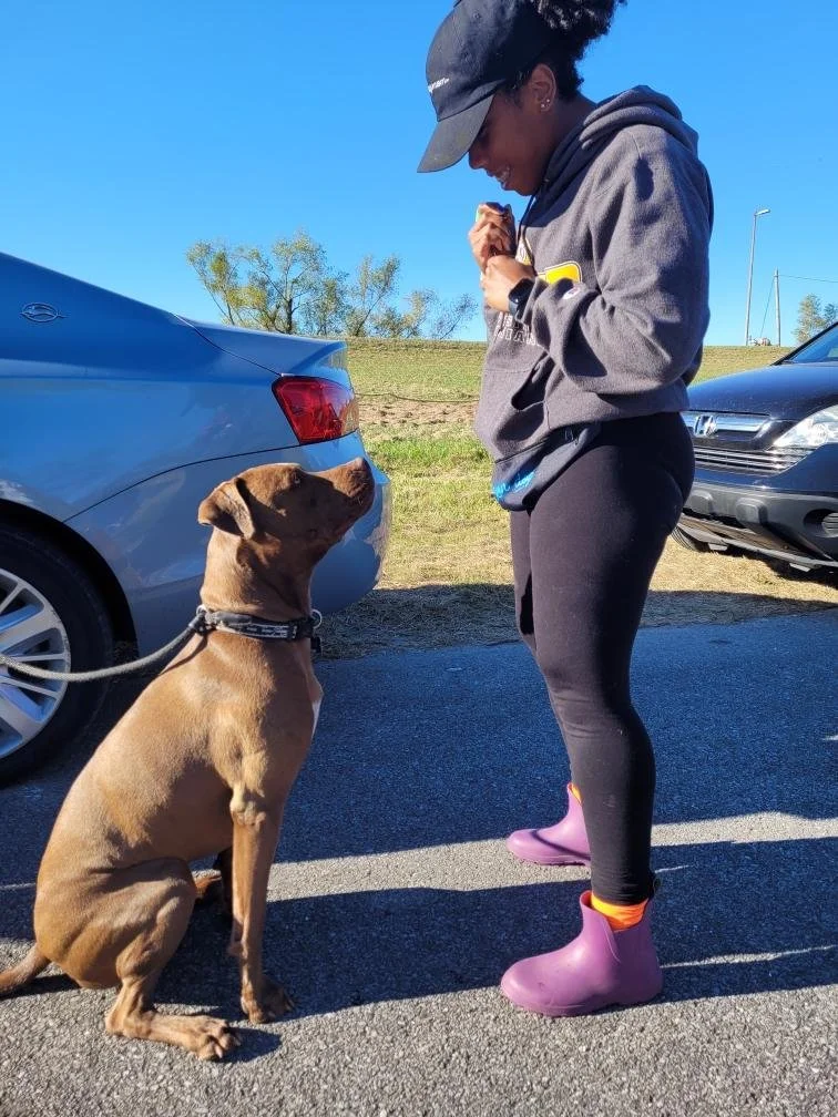A woman standing on a sidewalk with a leash-attached brown dog sitting in front of her, outdoors on a sunny day.