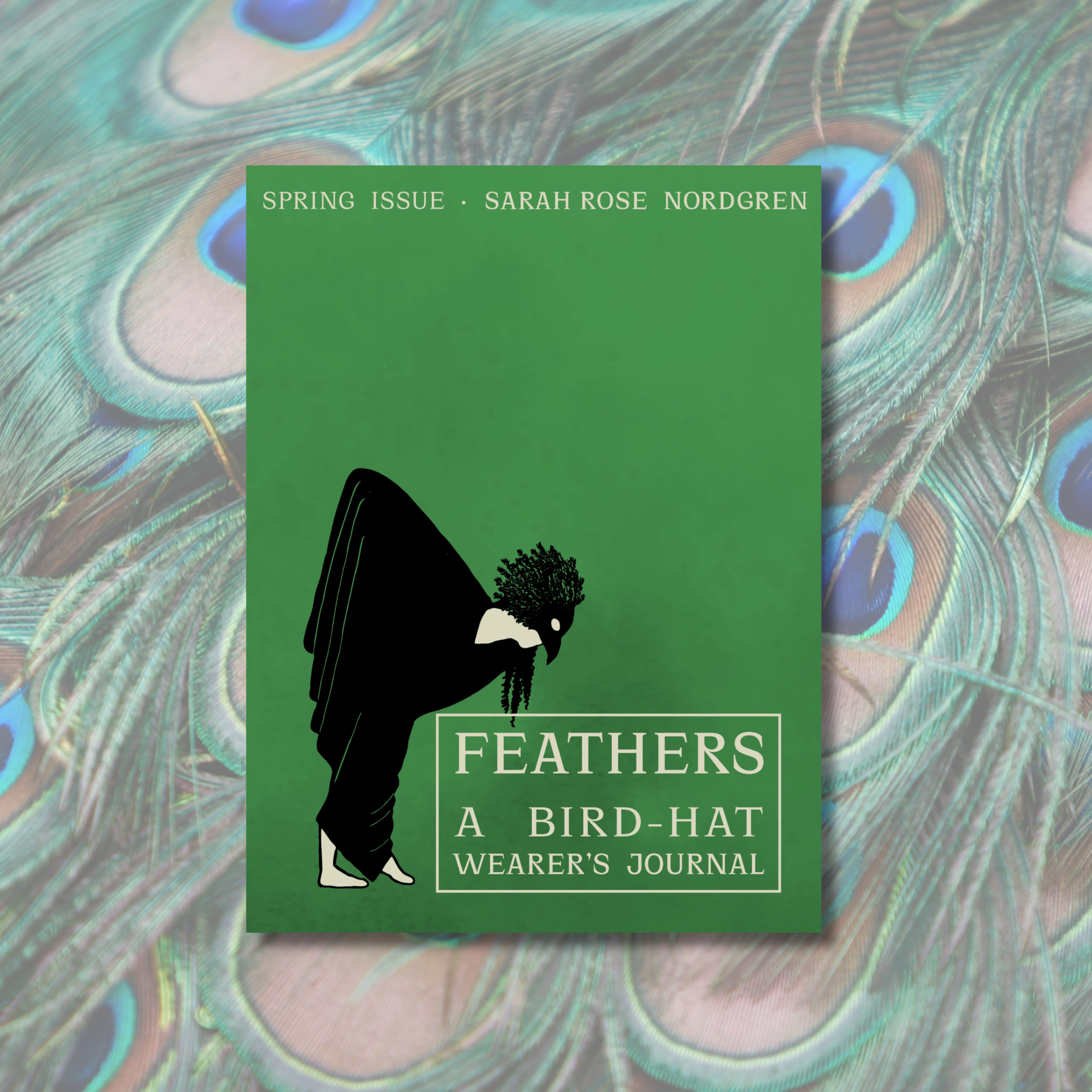 cover image for feathers: a bird-hat wearer's journal