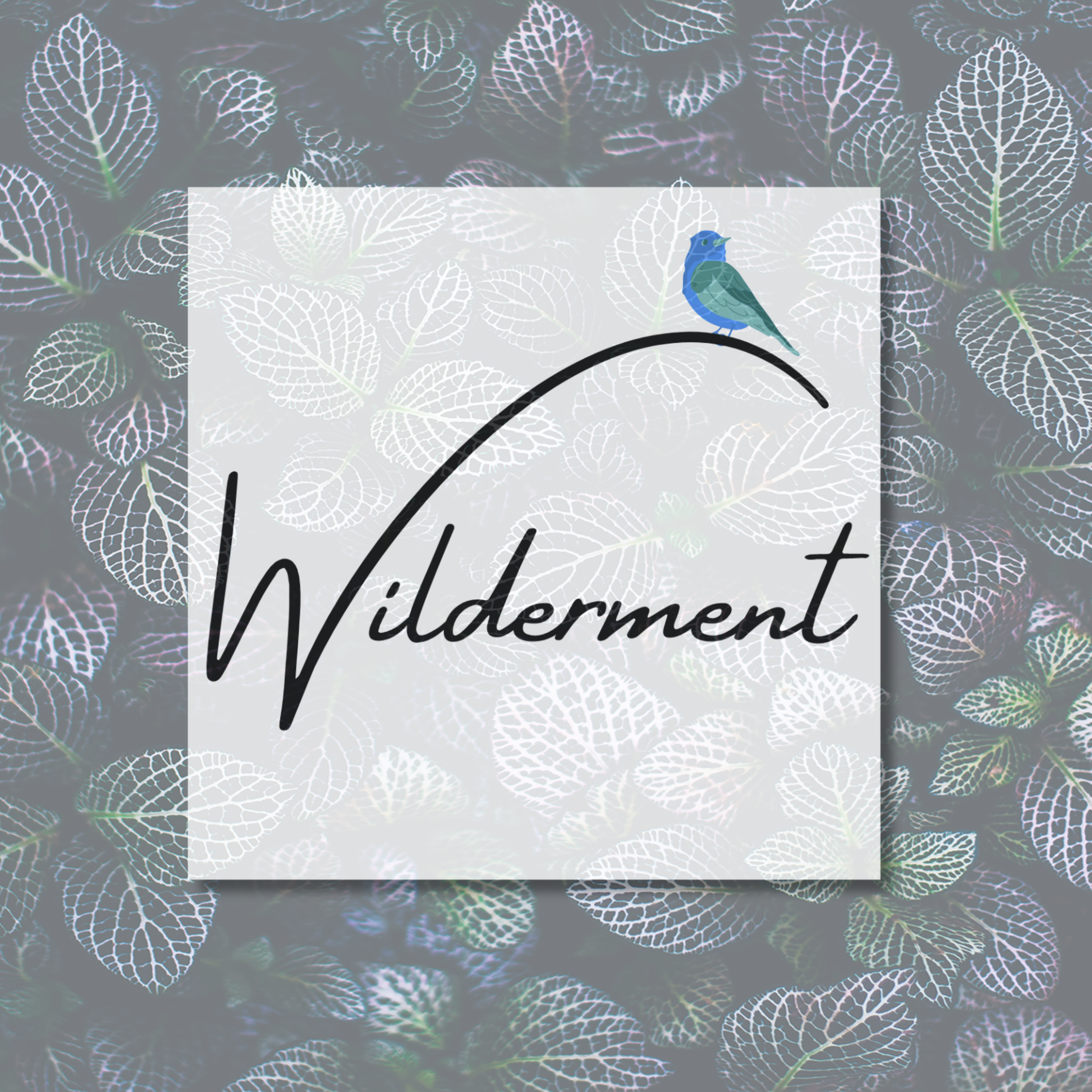 logo for Wilderment Substack
