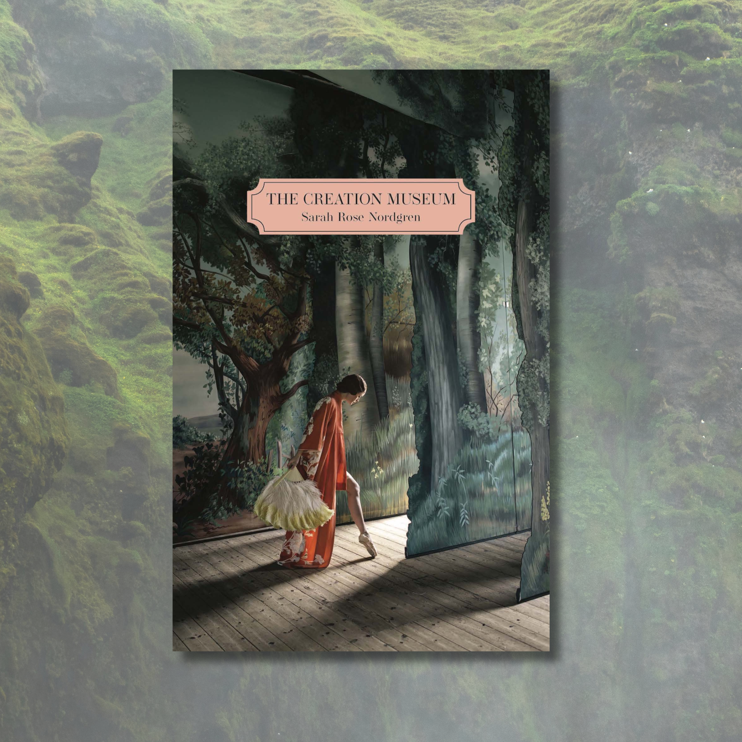 cover image for the creation museum