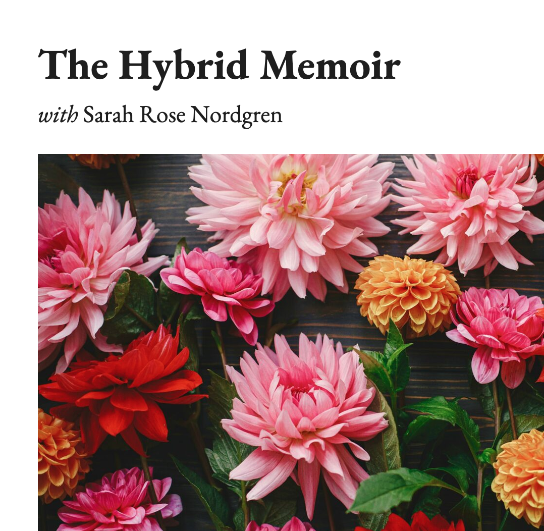A picture of flowers above which is written The Hybrid Memoir