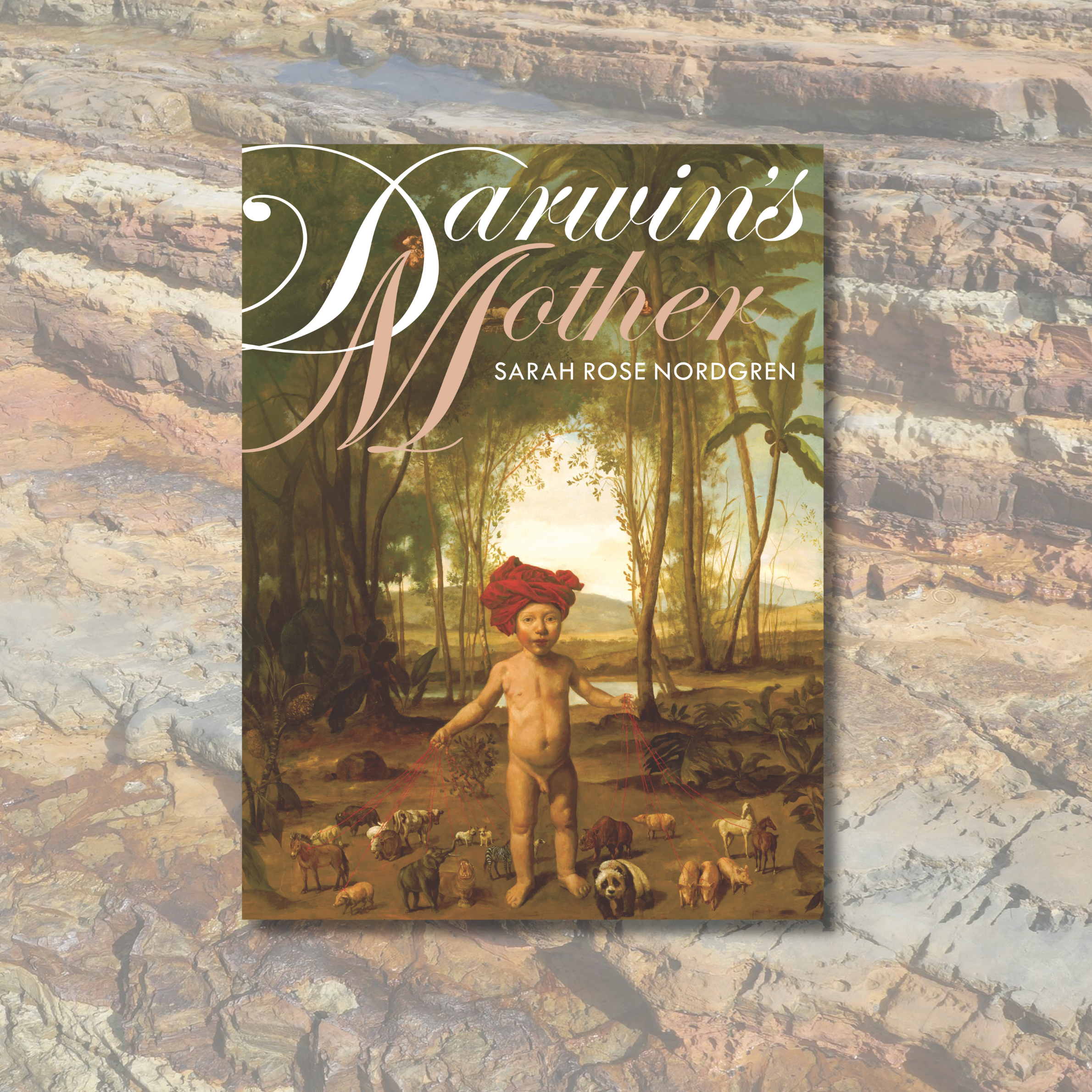 cover image for darwin's mother
