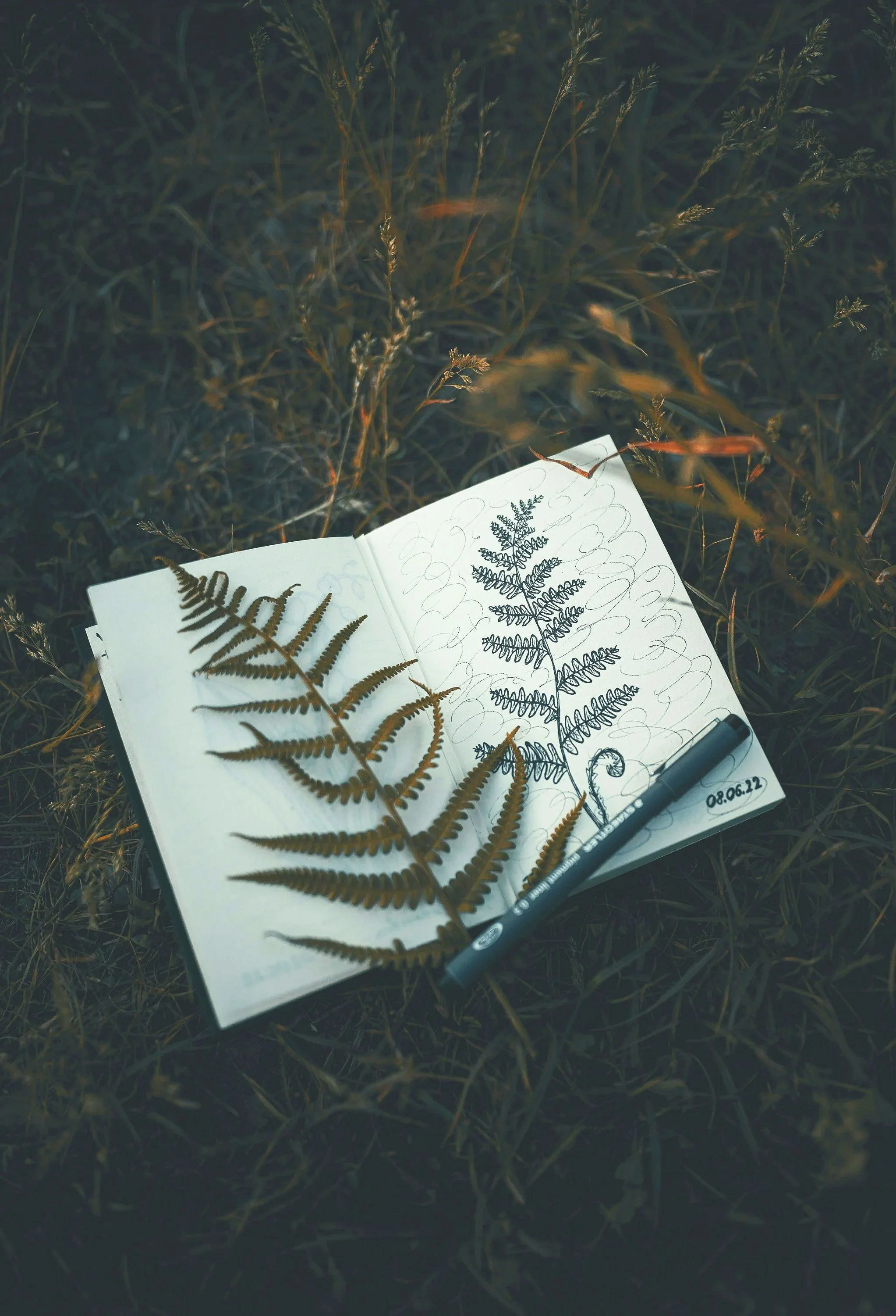 photo of nature journal by Vadim Sodovski from unsplash.com