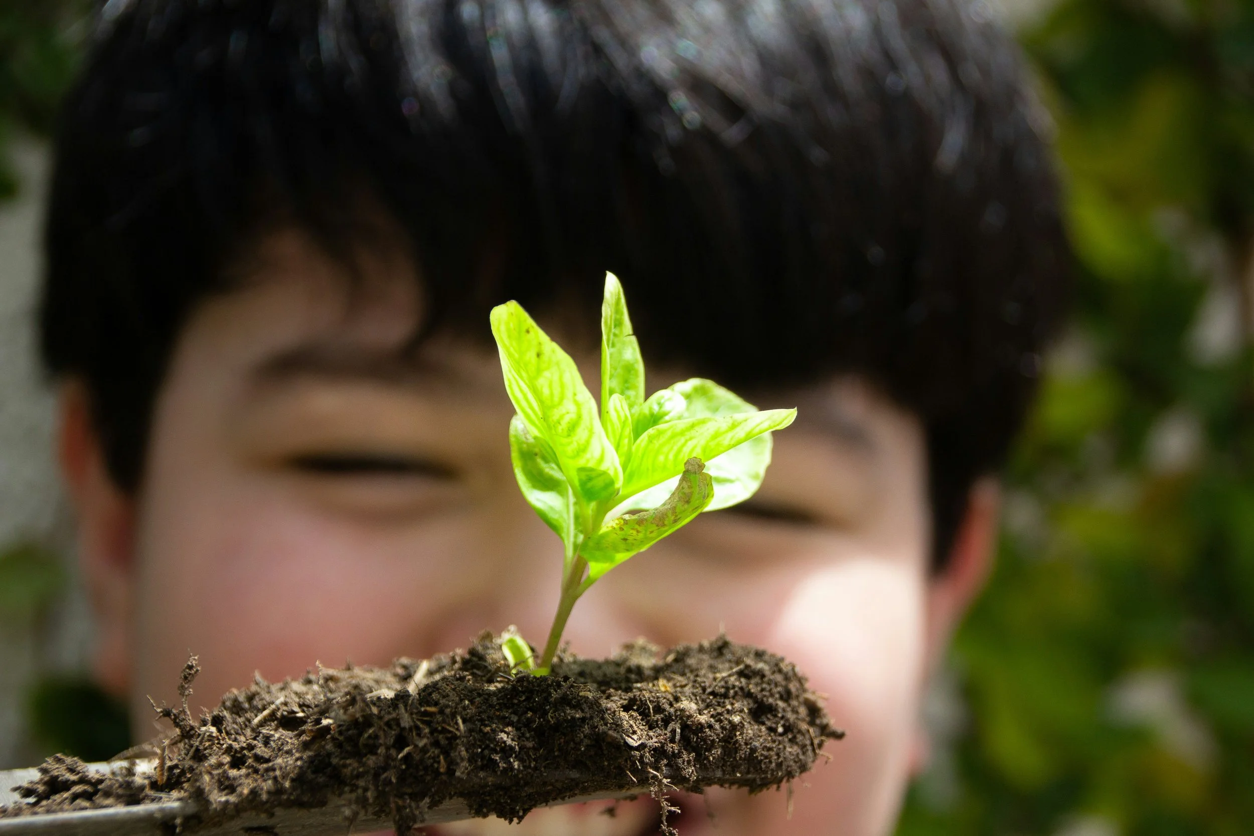 photo of child holding a plant sprout by Andrea Sanchez from unsplash.com