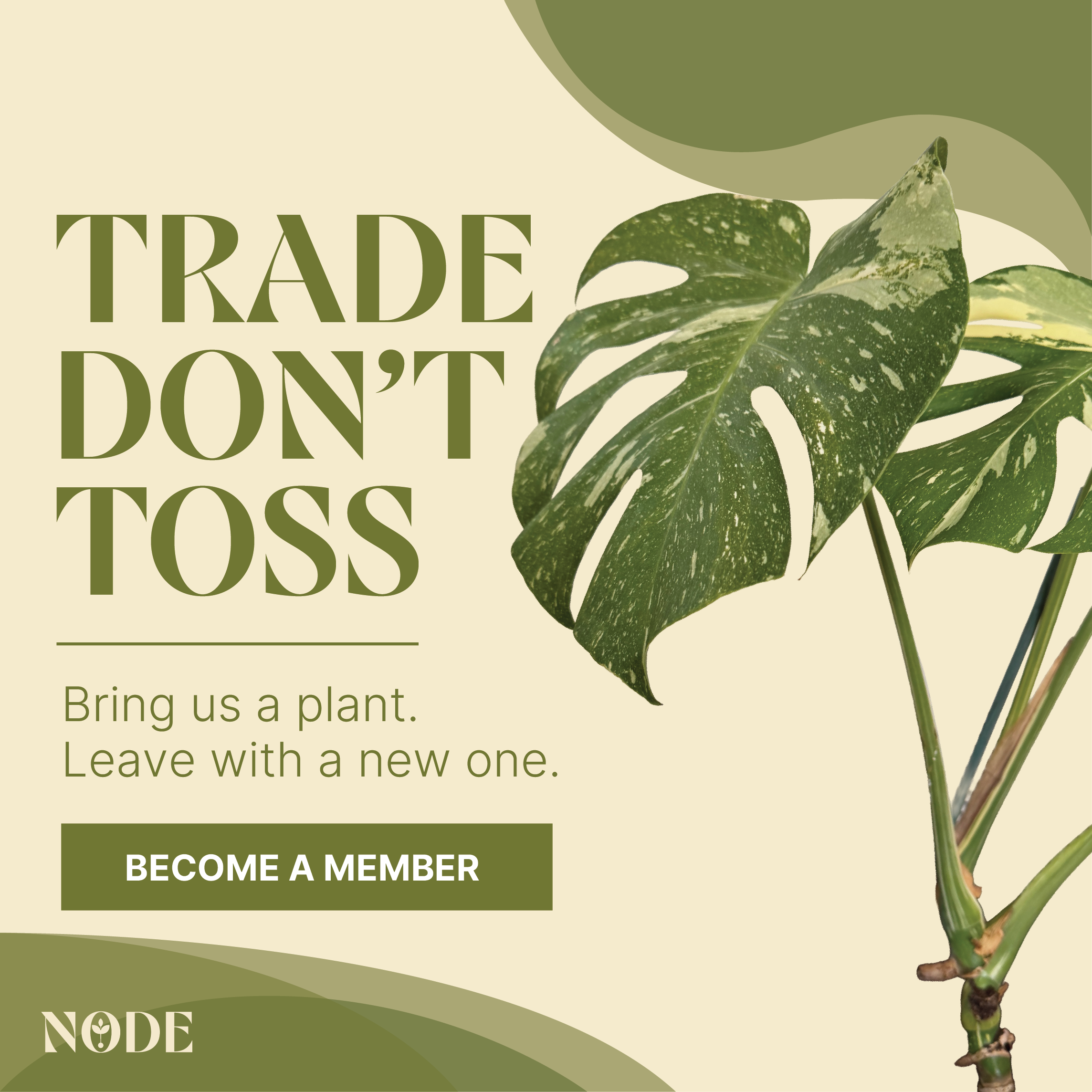 A promotional poster with the message "Trade Don't Toss" encouraging planting and sustainability, featuring green and beige tones and an image of a variegated monstera plant.