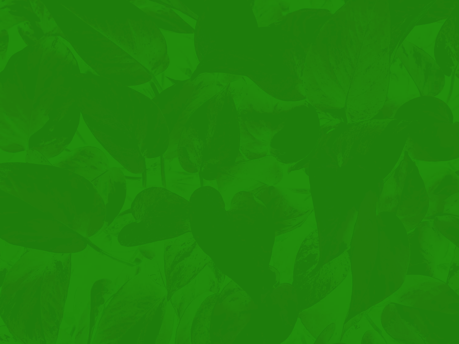 background2bff.png