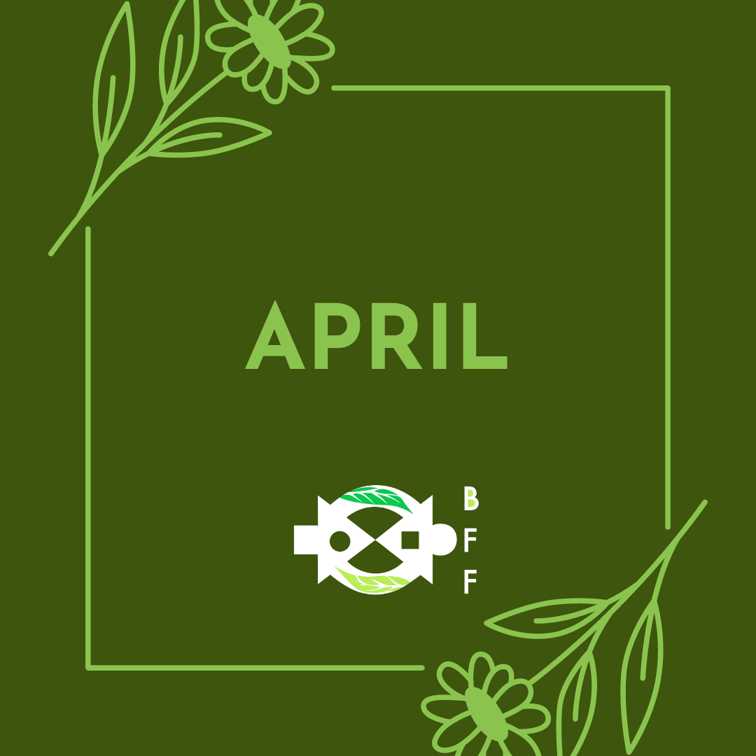 April 2024 Newsletter