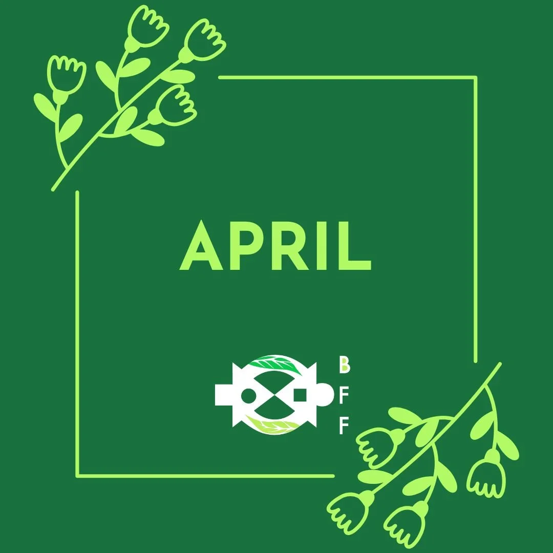 April 2026 Newsletter